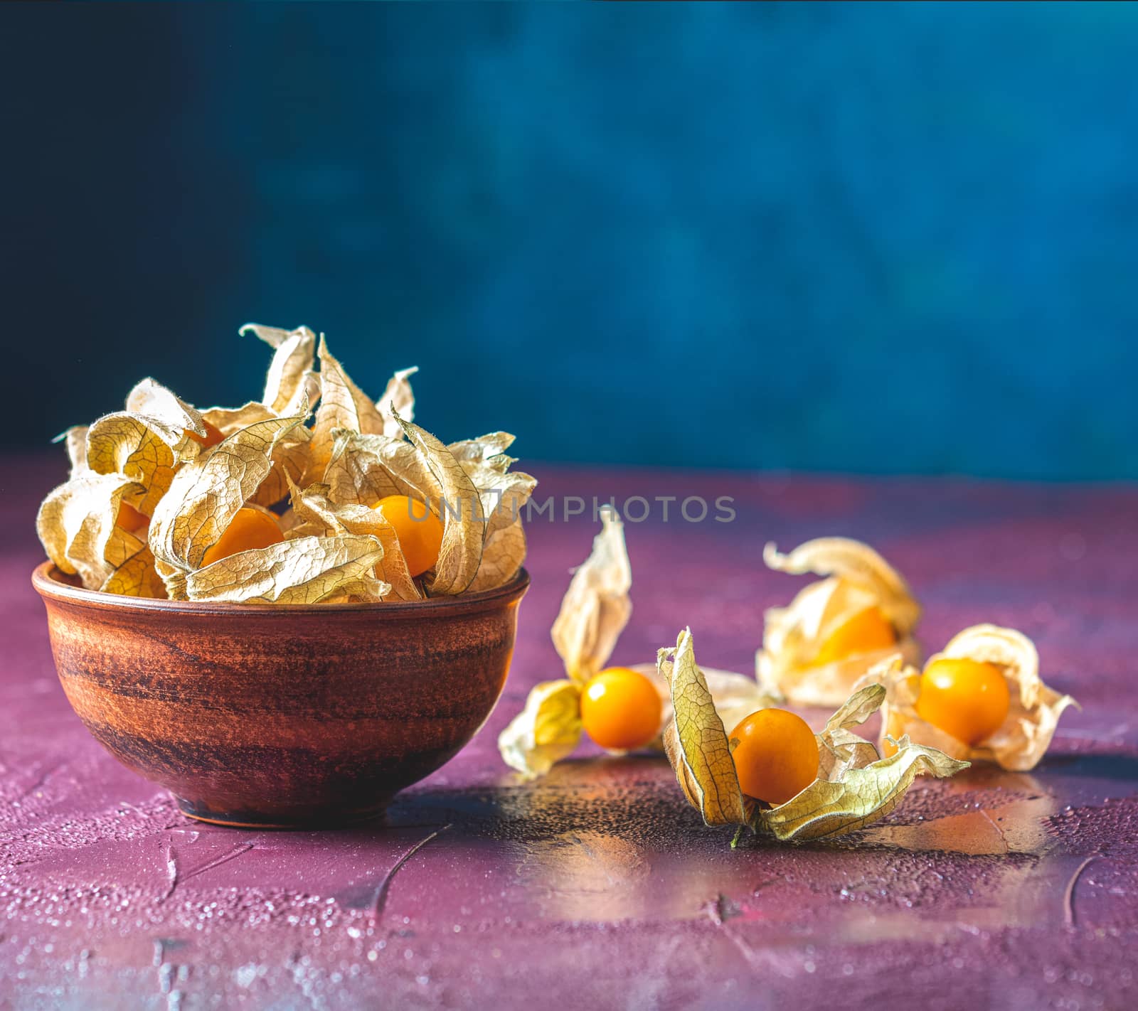Fresh juicy group organic cape gooseberry in clay dish on dark claret bordeaux concrete surface. Physalis peruviana, Inca berry, poha berries, husk tomatoes. Ripe berries of autumn physalis fruit