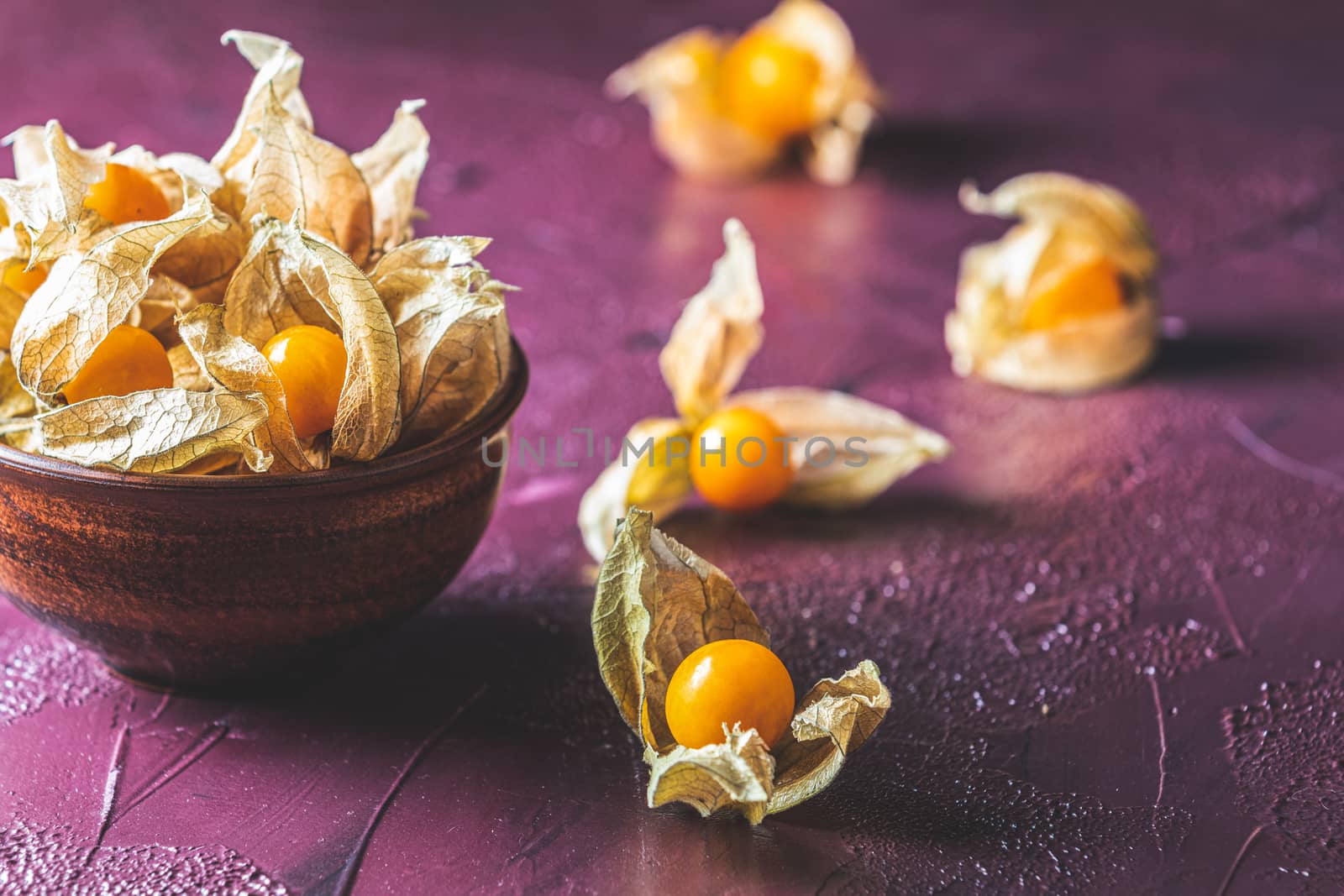Fresh juicy group organic cape gooseberry in clay dish on dark claret bordeaux concrete surface. Physalis peruviana, Inca berry, poha berries, husk tomatoes. Ripe berries of autumn physalis fruit