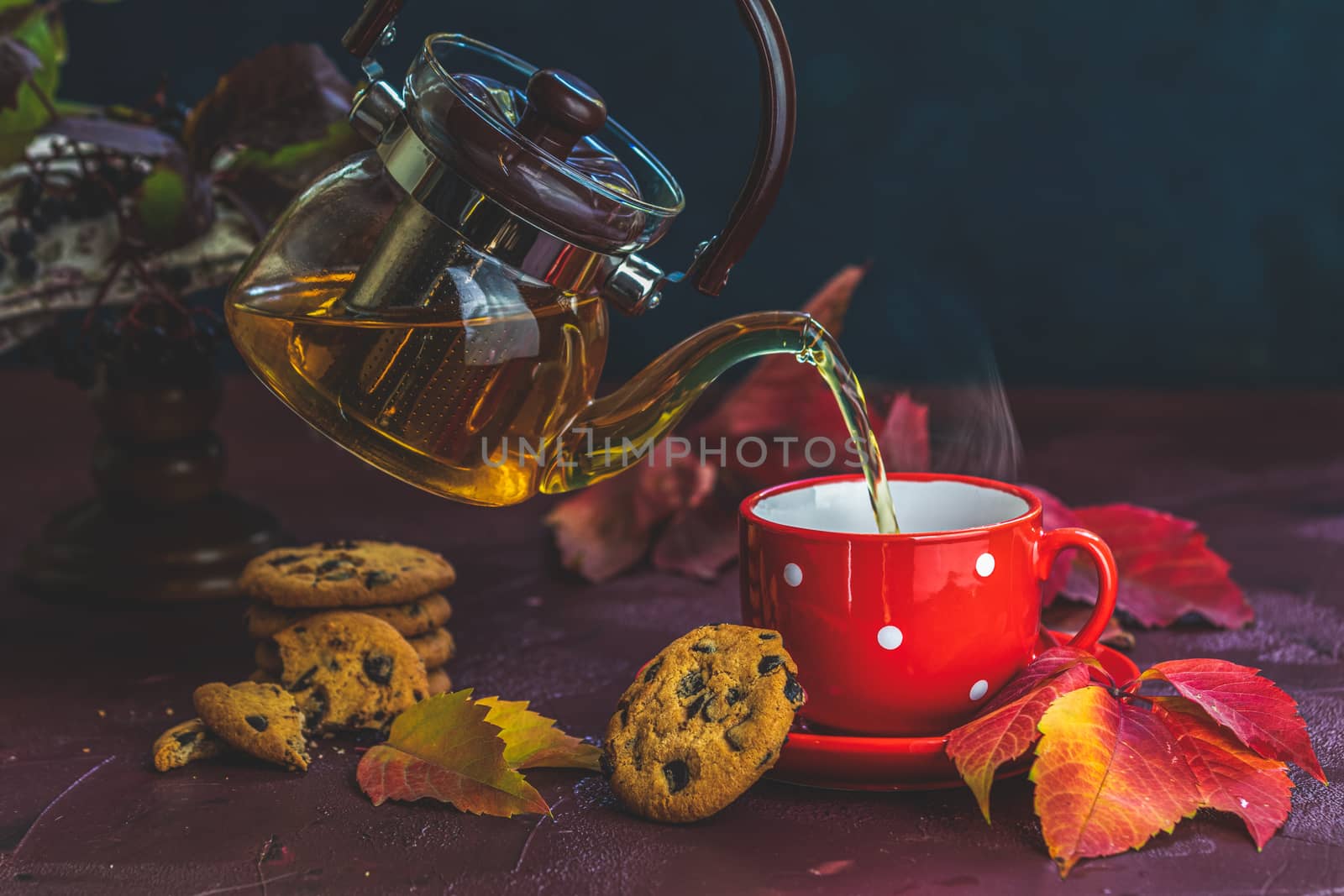 Pouring hot tea in red in white dotted cup. Autumn teatime composition on dark background with colored leaves and chocolate cookies.