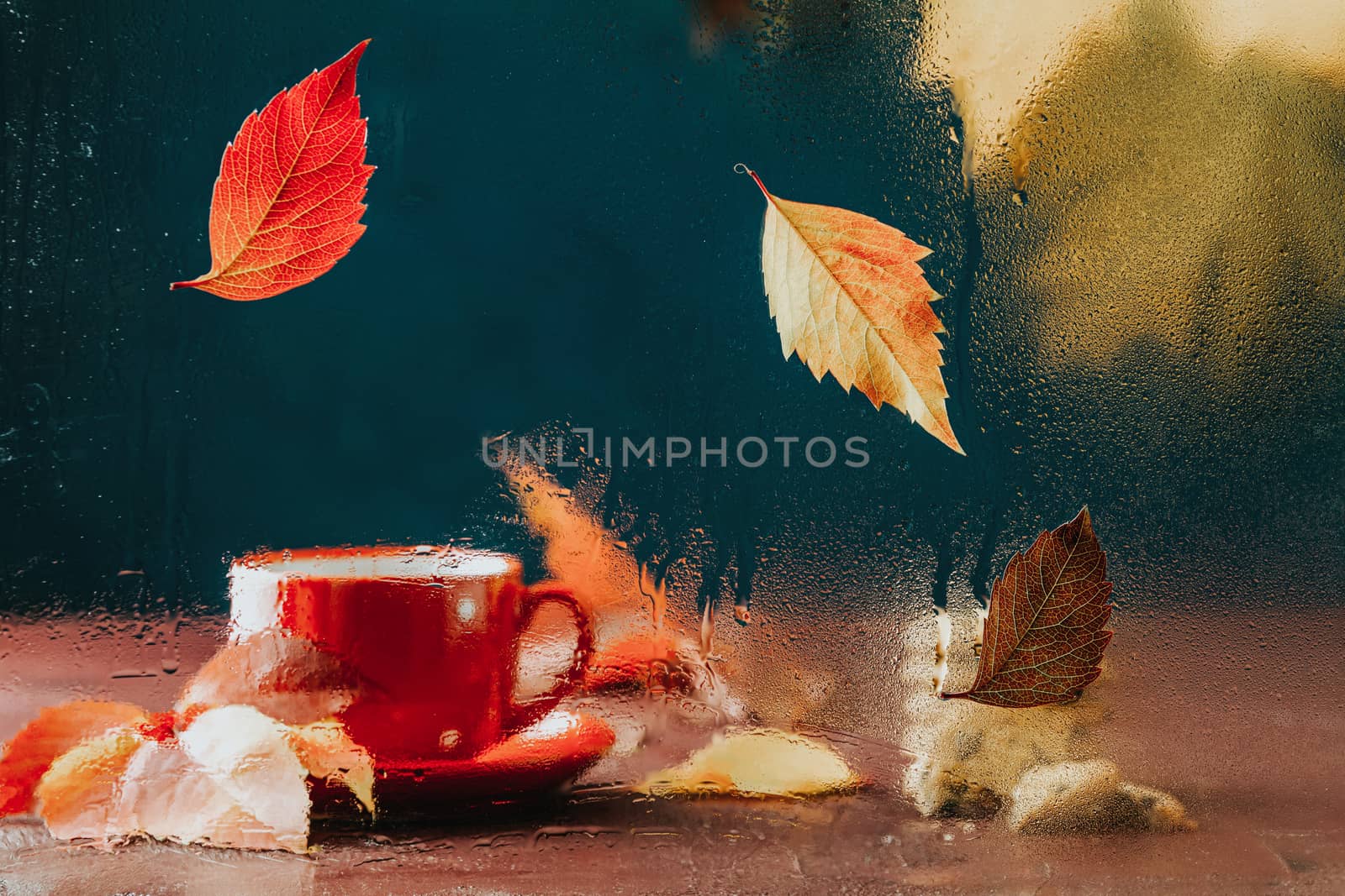 Autumn teatime blurred composition with colored leaves on glass with water dew drops. Red in white dotted cup of hot tea behind the glass out of focus