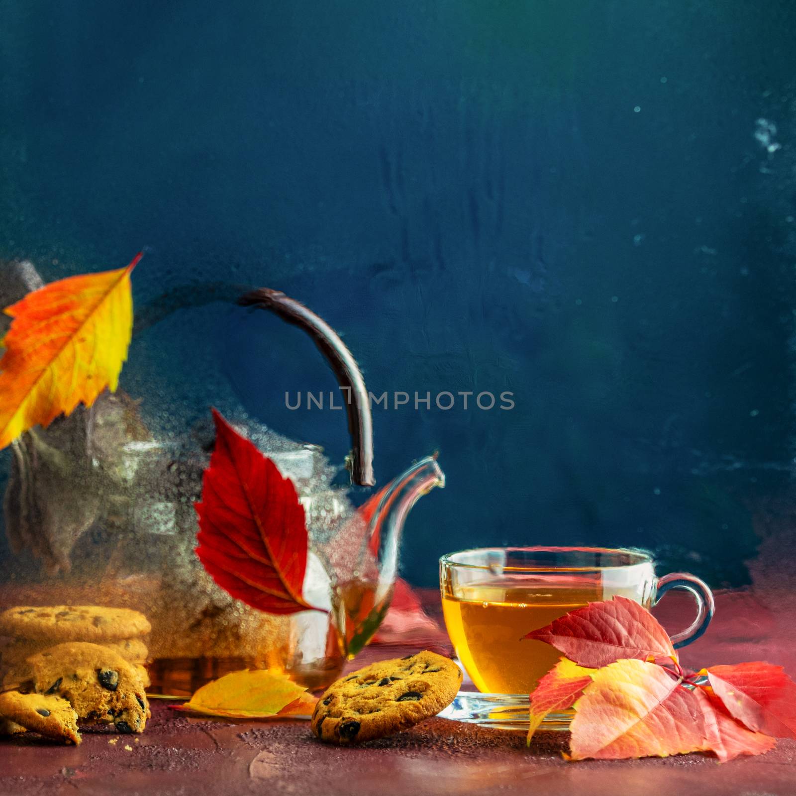 Autumn teatime composition on dark background with colored leaves and chocolate cookies, sun light beam on the cup behind the glass with water dew drops, selective focus