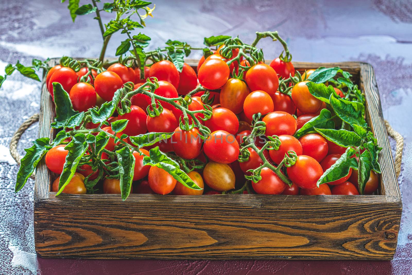 Red fresh tomatoes in wooden box. Dark background. Close up. Gmo free. Natural good food. Sunny backlight.