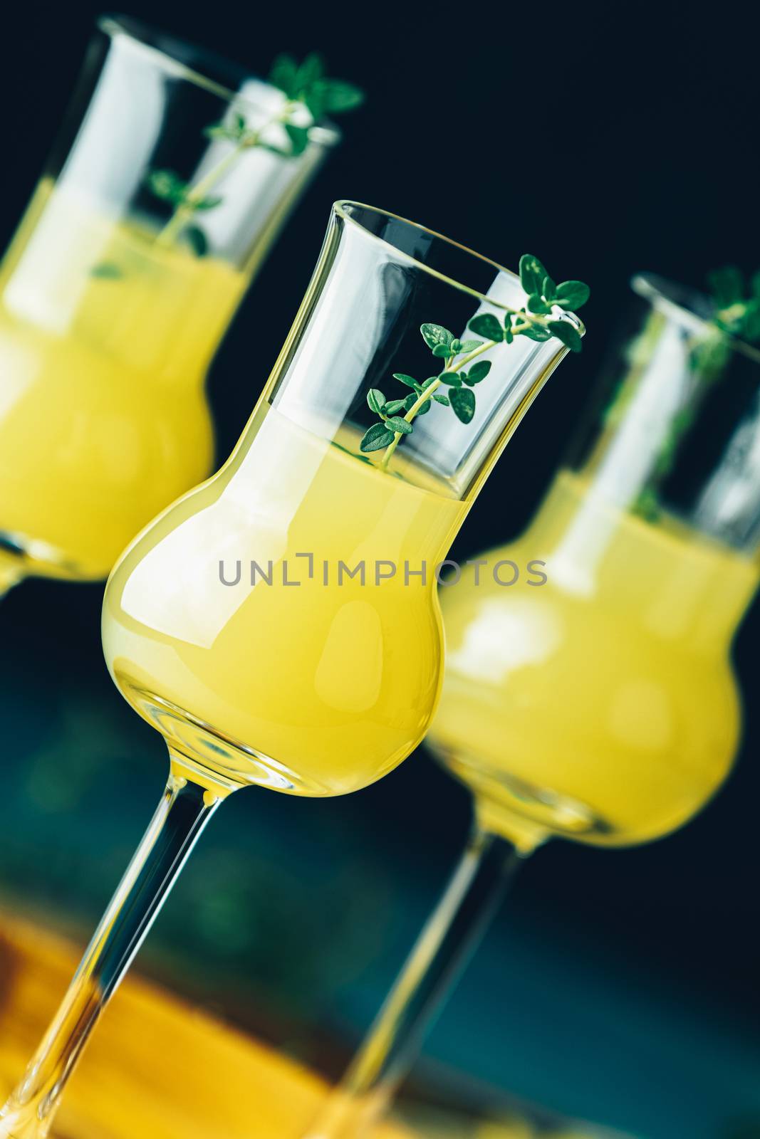 Limoncello with thyme in three grappas wineglass close up on dar by ArtSvitlyna