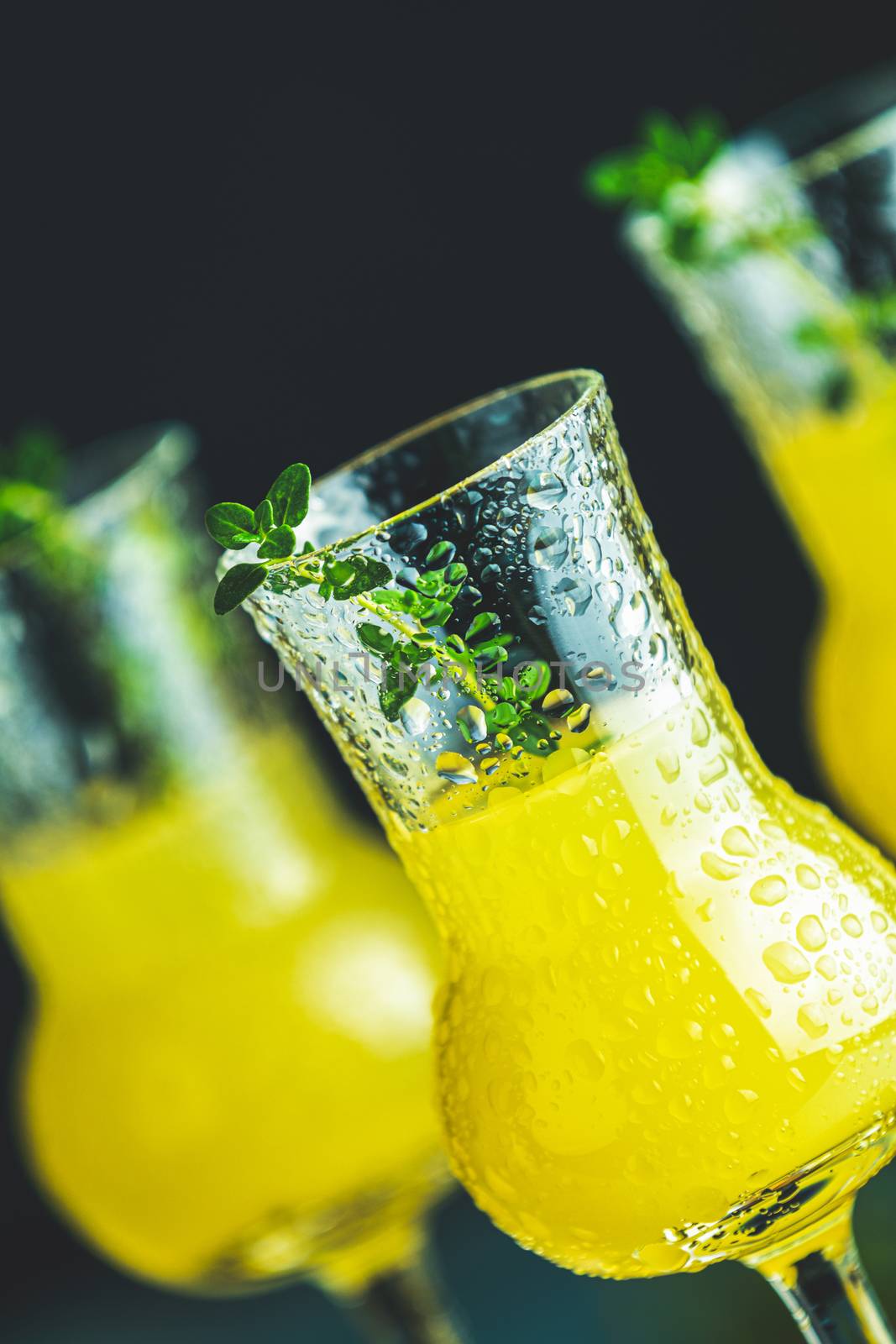 Limoncello with thyme in three grappas wineglass with water drops close up on dark background, shallow depth of the field.