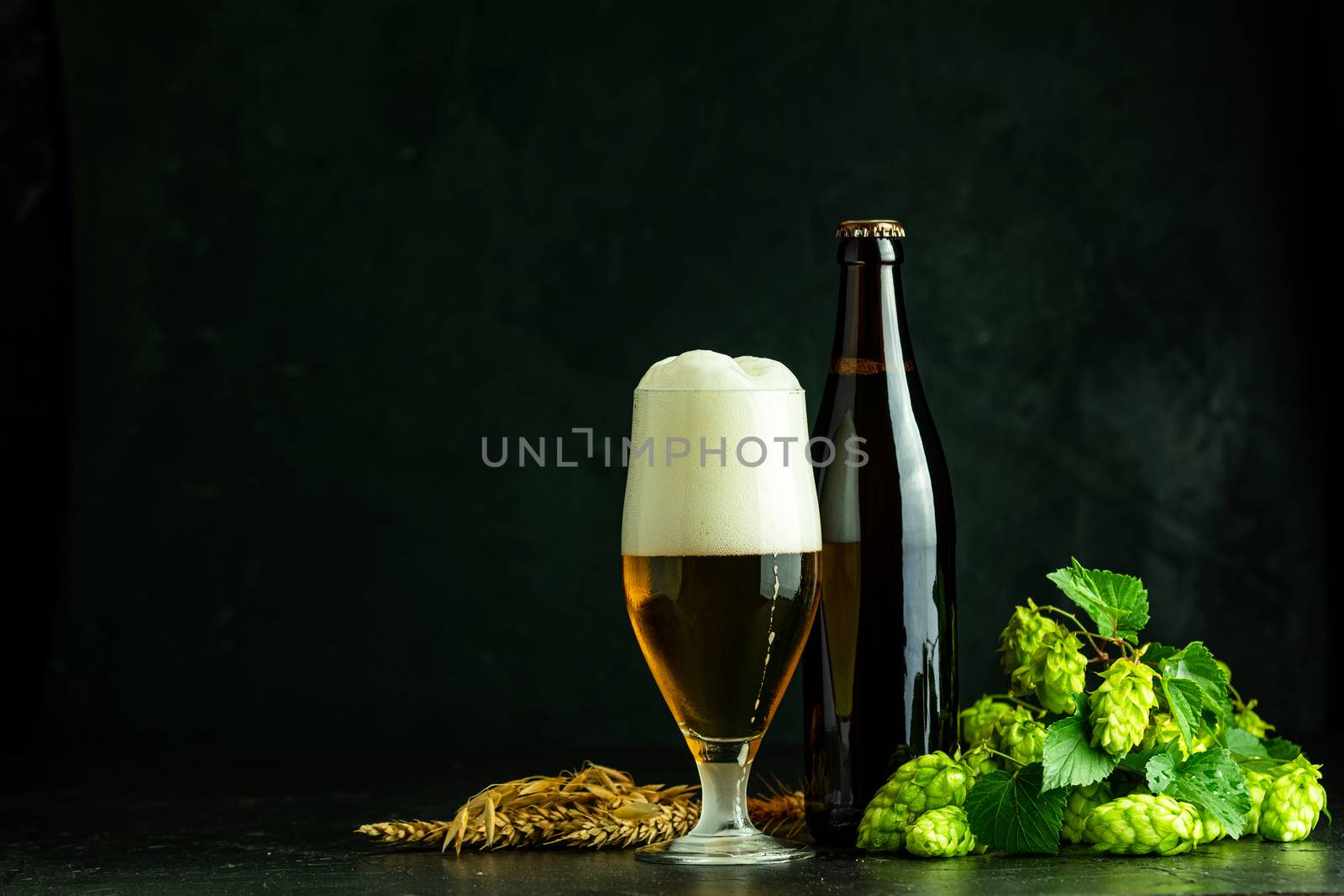 Glass of cold foamy beer brown bottle of beer and hop on a dark background.