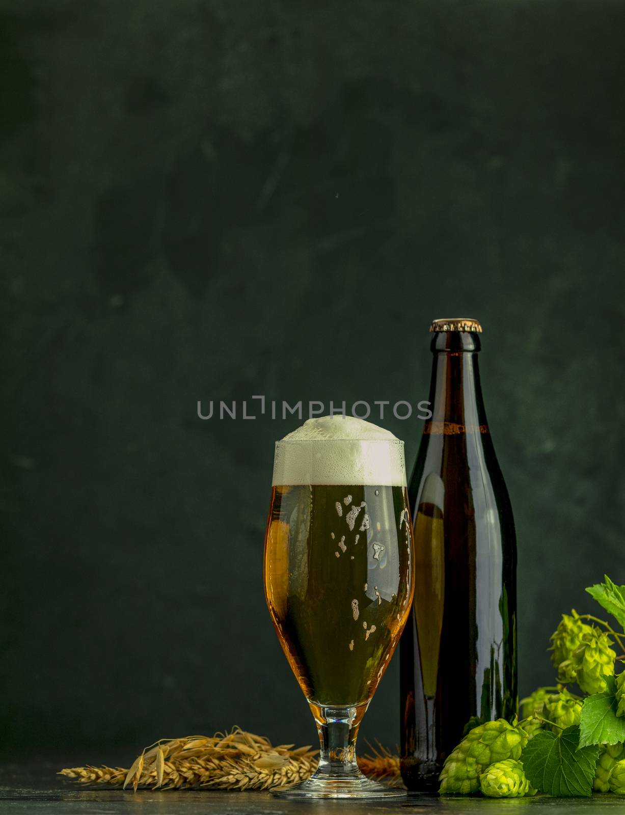 Beer and hop plant. Still life with beer and hop plant in retro style. Glass of cold foamy beer brown bottle of beer and hop on a dark background.