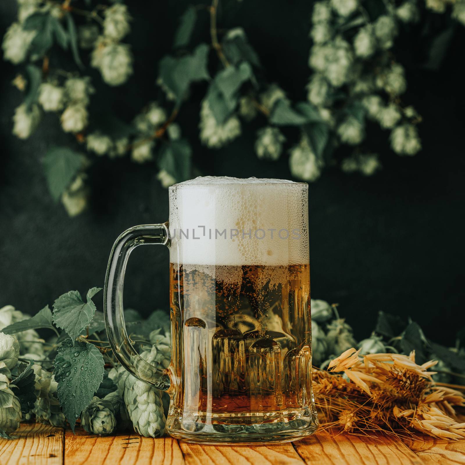 Beer and hop plant. Still life with beer and hop plant in retro  by ArtSvitlyna