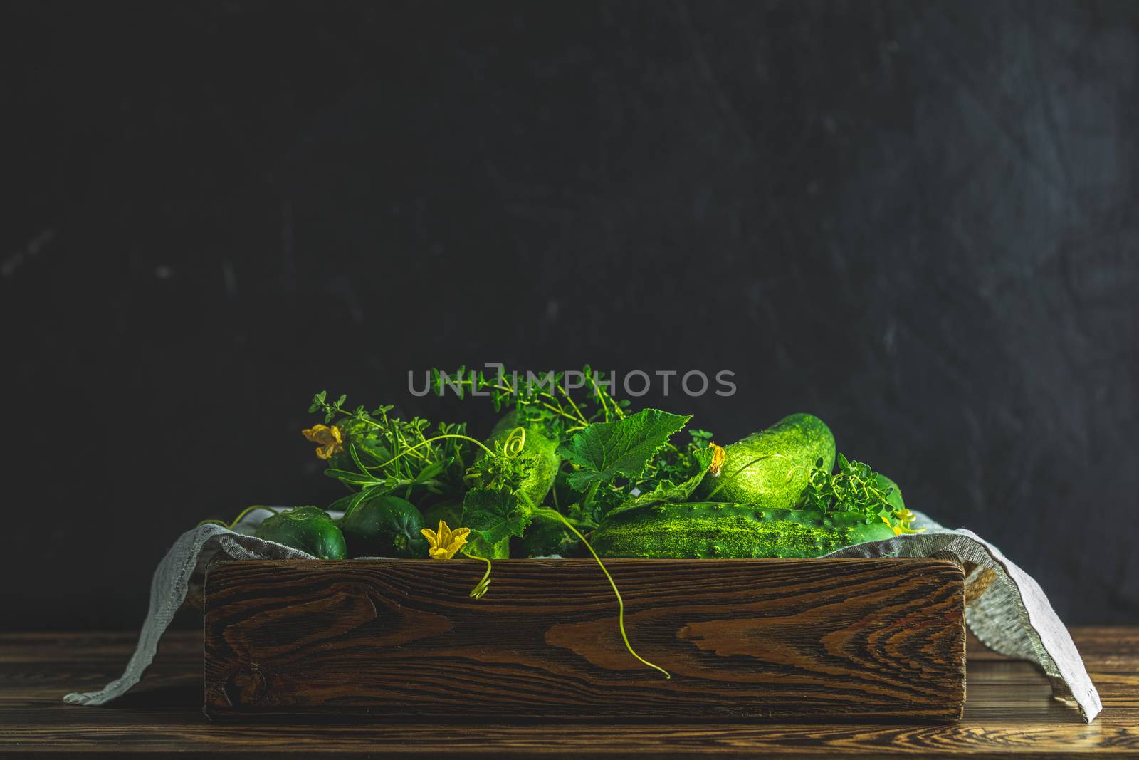 Green fresh cucumber in wooden box. Dark background. Close up. Gmo free green cucumbers. Natural good food.