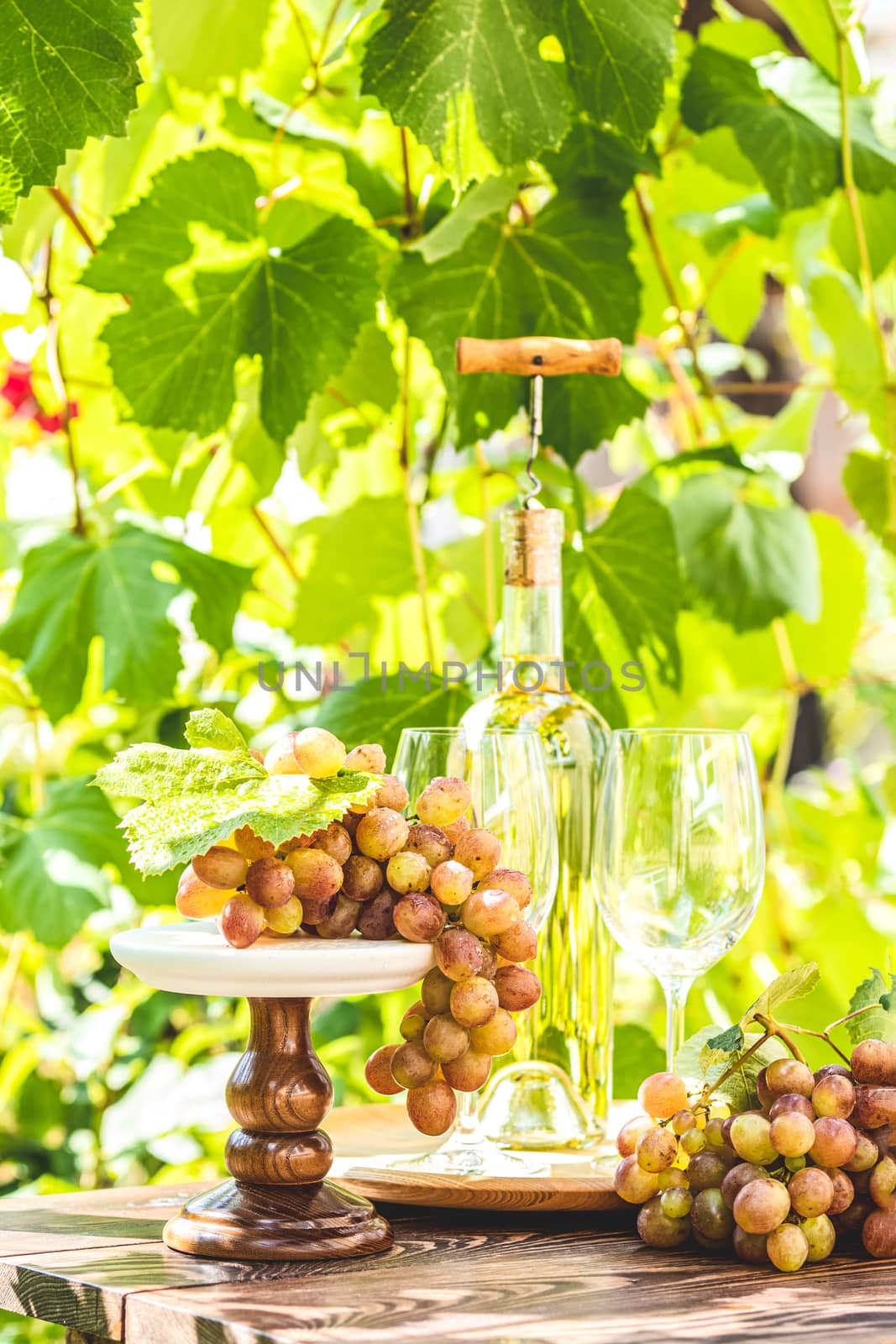 Bunch of grapes with water drops on the table. Sunny garden with by ArtSvitlyna