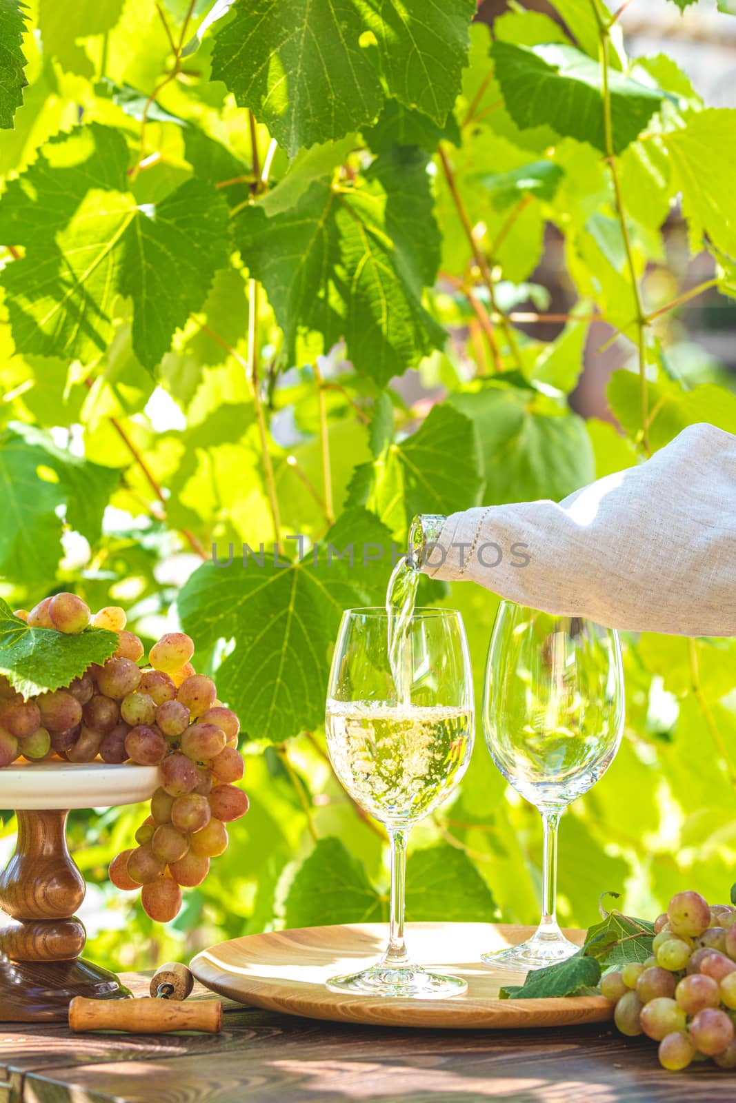 Pouring wine in glass. Green grape and white wine in vineyard by ArtSvitlyna