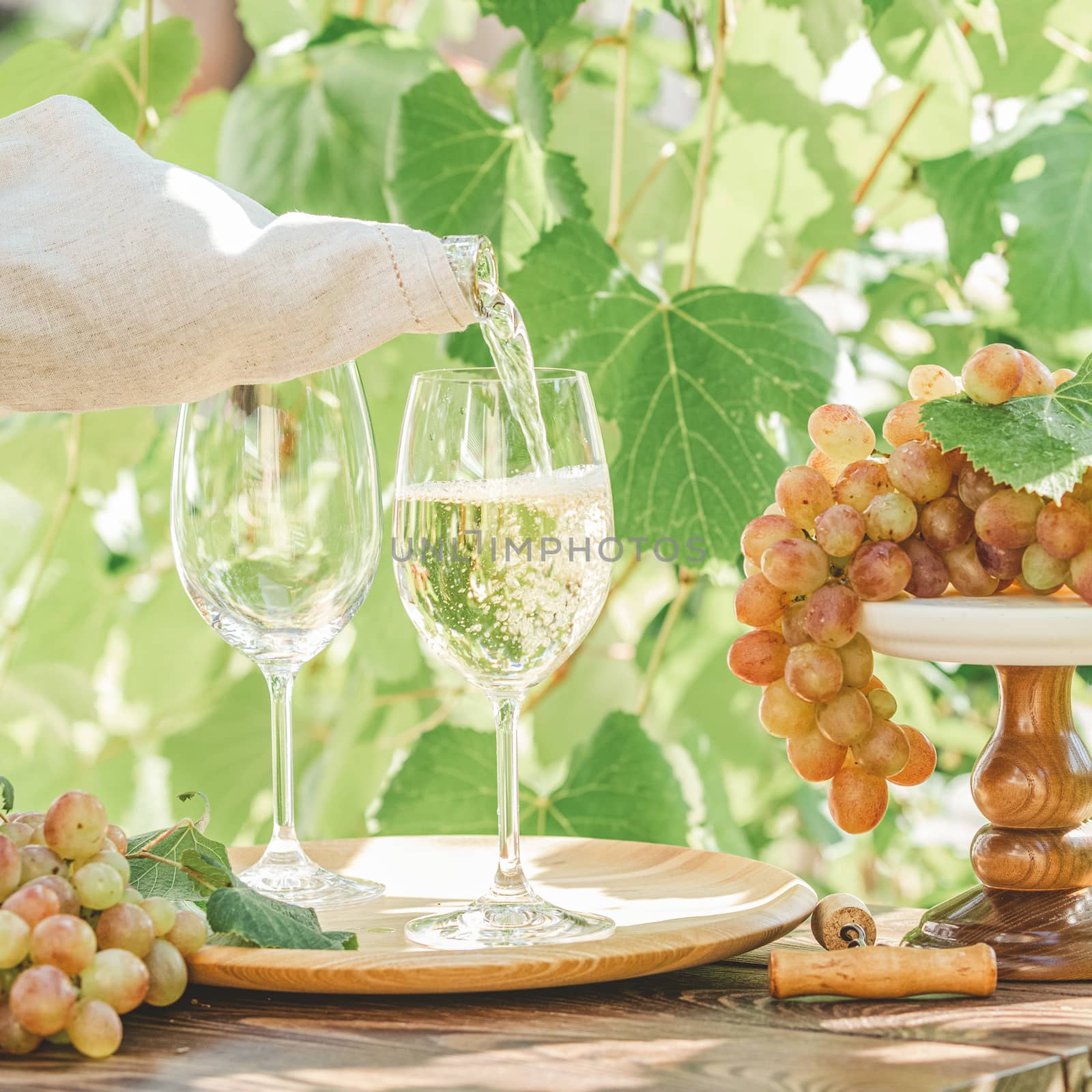 Pouring wine in glass. Green grape and white wine in vineyard. Sunny garden with vineyard background, summer mood concept, selective focus