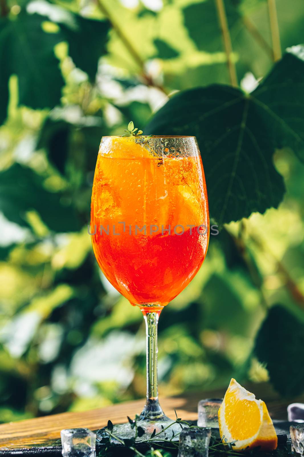 Aperol spritz cocktail in big wine glass close up with oranges, summer Italian fresh alcohol cold drink. Sunny garden with vineyard background, summer mood concept, selective focus