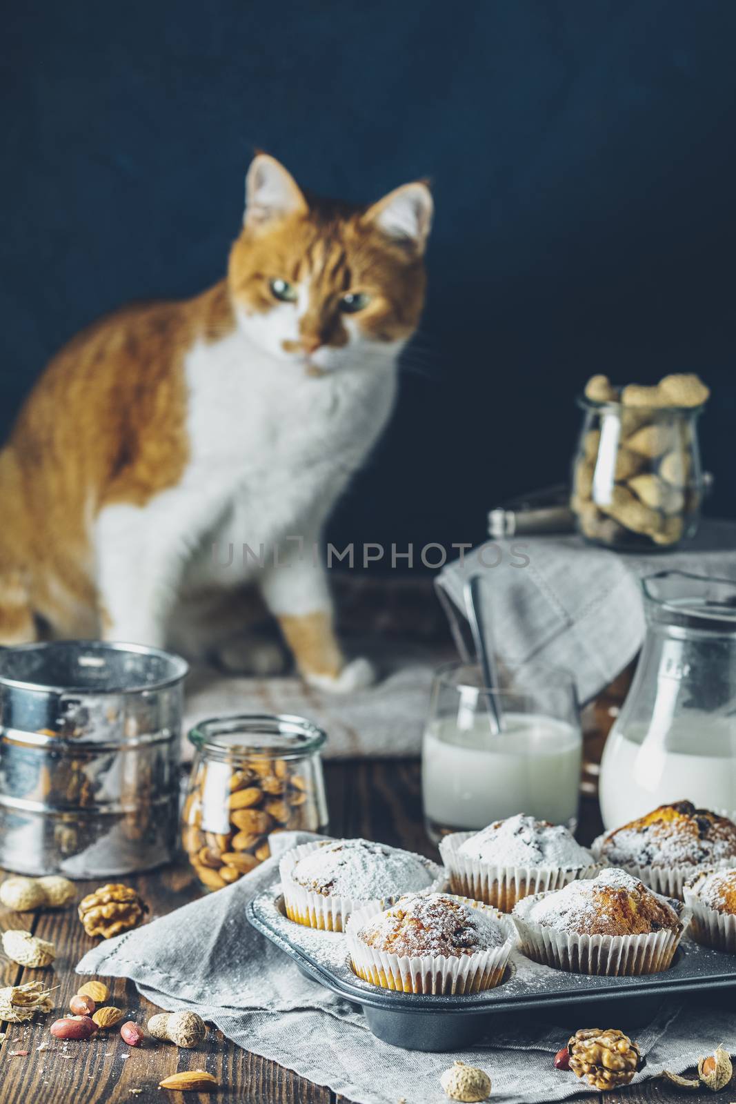 Vanilla caramel muffins in paper cups and glass in bakeware of milk on  dark wooden background. Delicious cupcake with raisins, almonds and nuts. Cute red white cat in the background