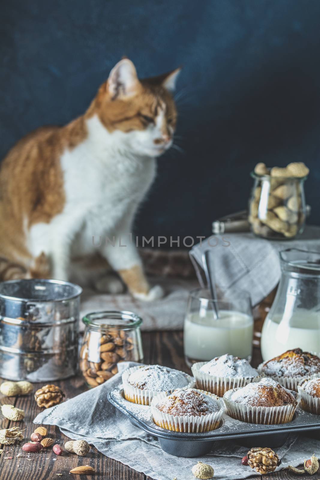 Vanilla caramel muffins in paper cups and glass in bakeware of milk on dark wooden background. Cute red white cat in the background.  Delicious cupcake with raisins, almonds and nuts.