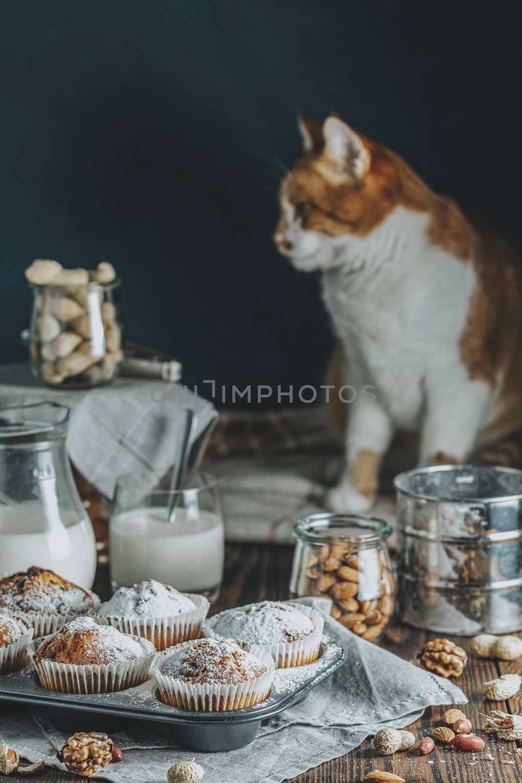 Vanilla caramel muffins in paper cups and glass in bakeware of milk on  dark wooden background. Delicious cupcake with raisins, almonds and nuts. Cute red white cat in the background