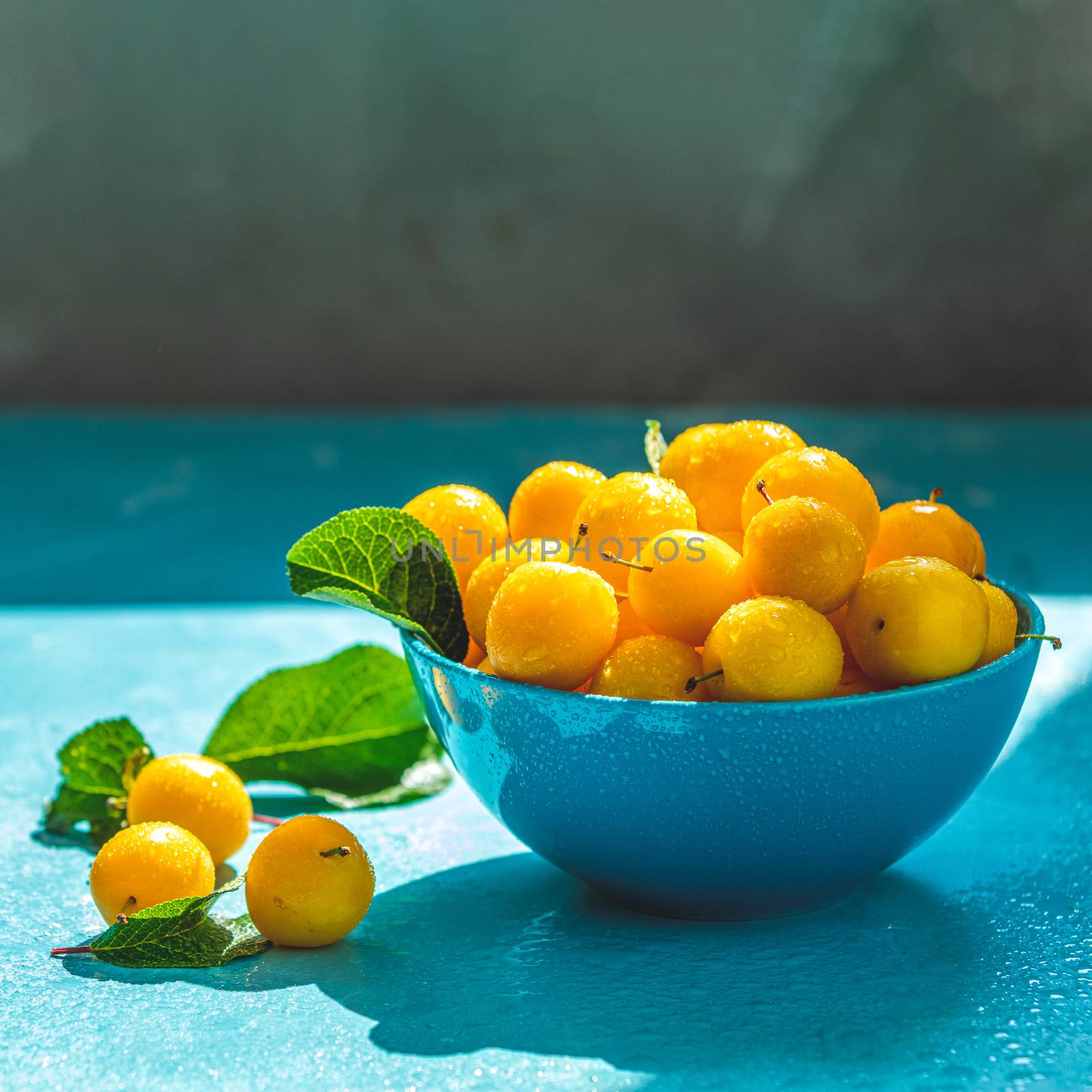 Fresh sweet yellow cherry plums with water drops in blue bowl, s by ArtSvitlyna