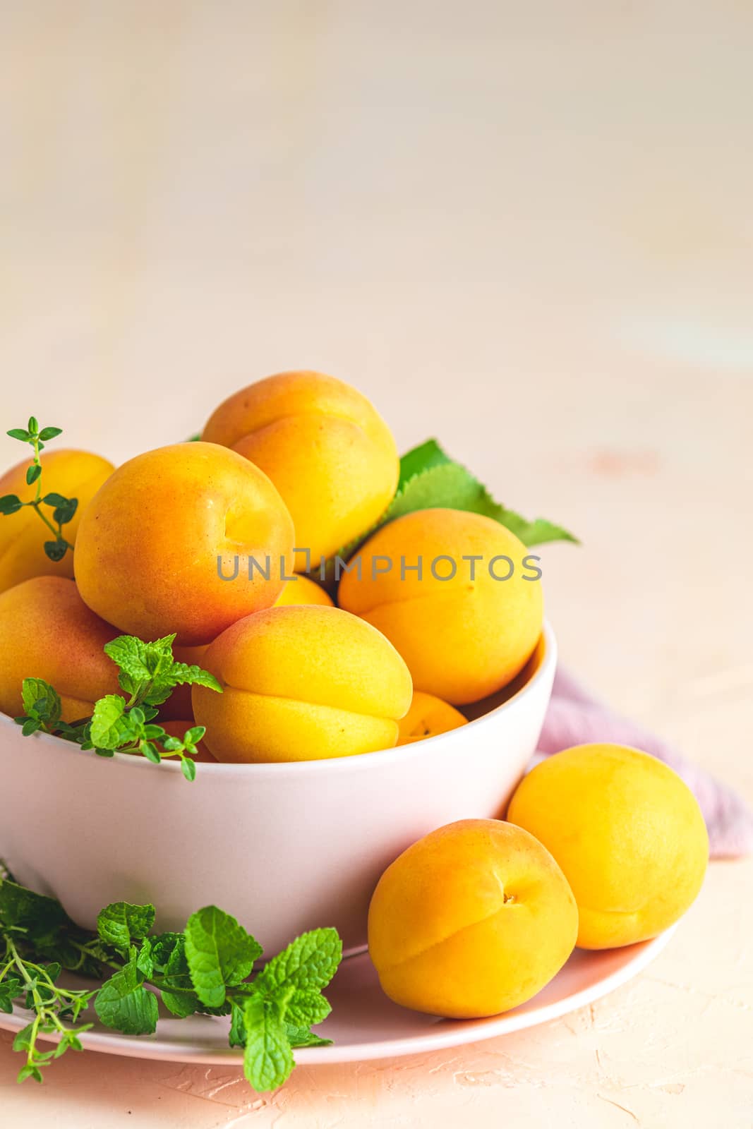 Fresh sweet orange apricots in pink bowl on the pink concrete su by ArtSvitlyna