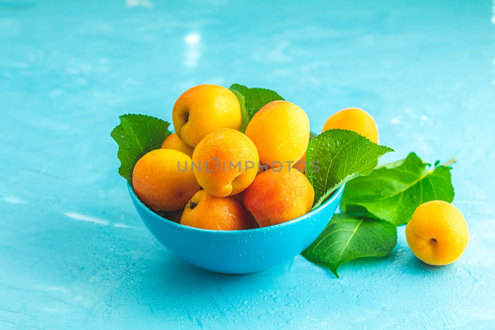 Fresh sweet orange apricots in blue bowl on the blue concrete surface table, selective focus, shallow depth of the fields