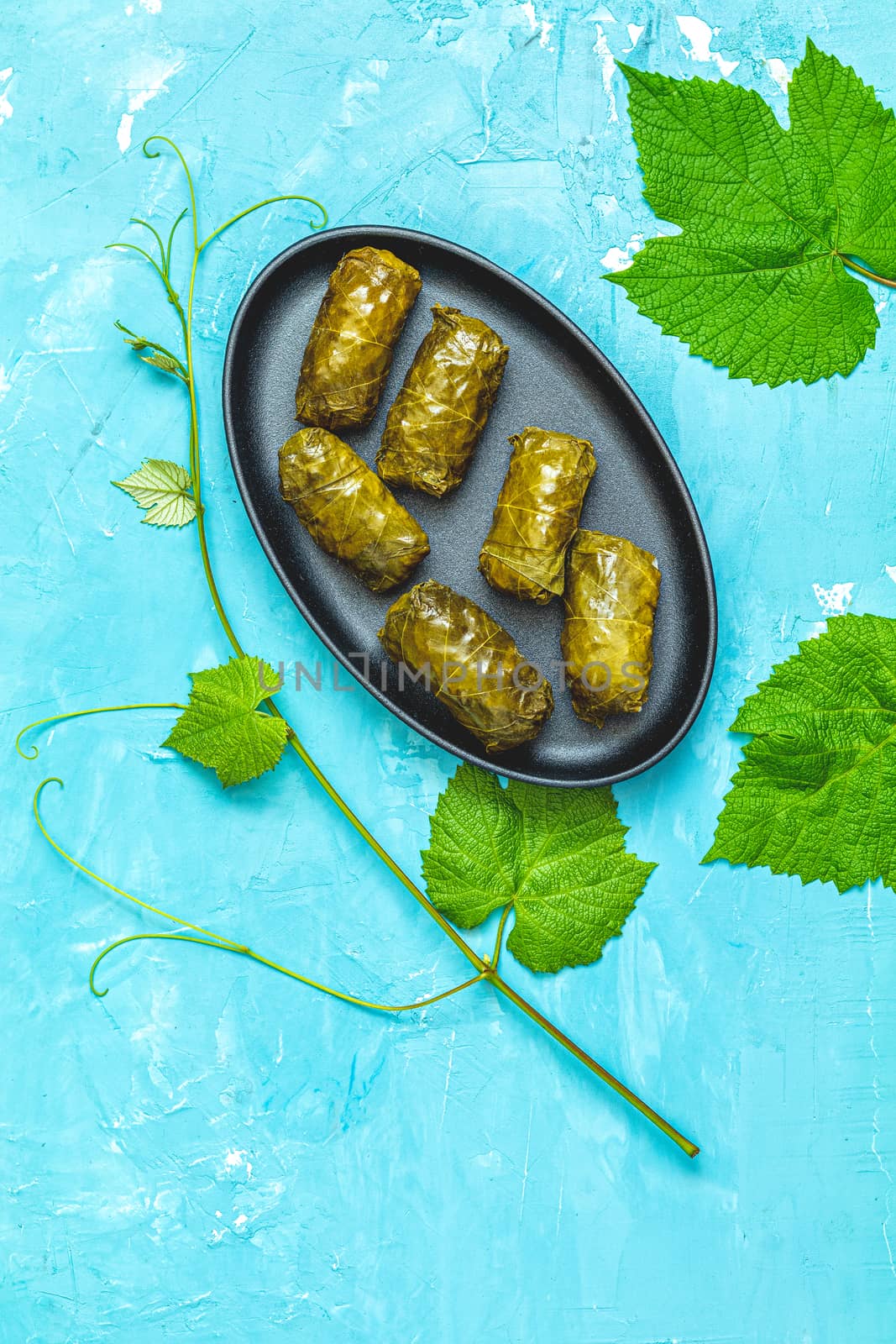 Traditional Middle Eastern dolma or tolma or sarma. Latin American Mexican Chilean cuisine ninos envueltos. Grape leaves stuffed with meat and rice. Lebanon turkish greek middle eastern cuisine.