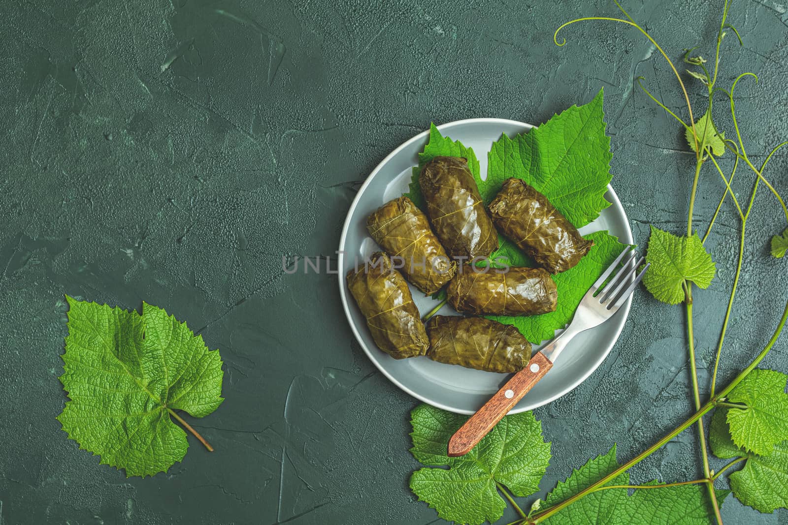 Traditional Middle Eastern dolma or tolma. Latin American Mexican Chilean cuisine ninos envueltos. Grape leaves stuffed with meat and rice