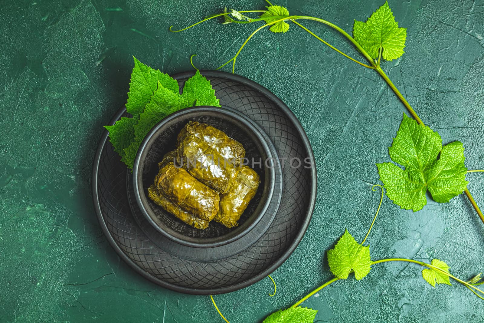 Traditional Middle Eastern dolma or tolma or sarma. Latin American Mexican Chilean cuisine ninos envueltos. Grape leaves stuffed with meat and rice. Lebanon turkish greek middle eastern cuisine.