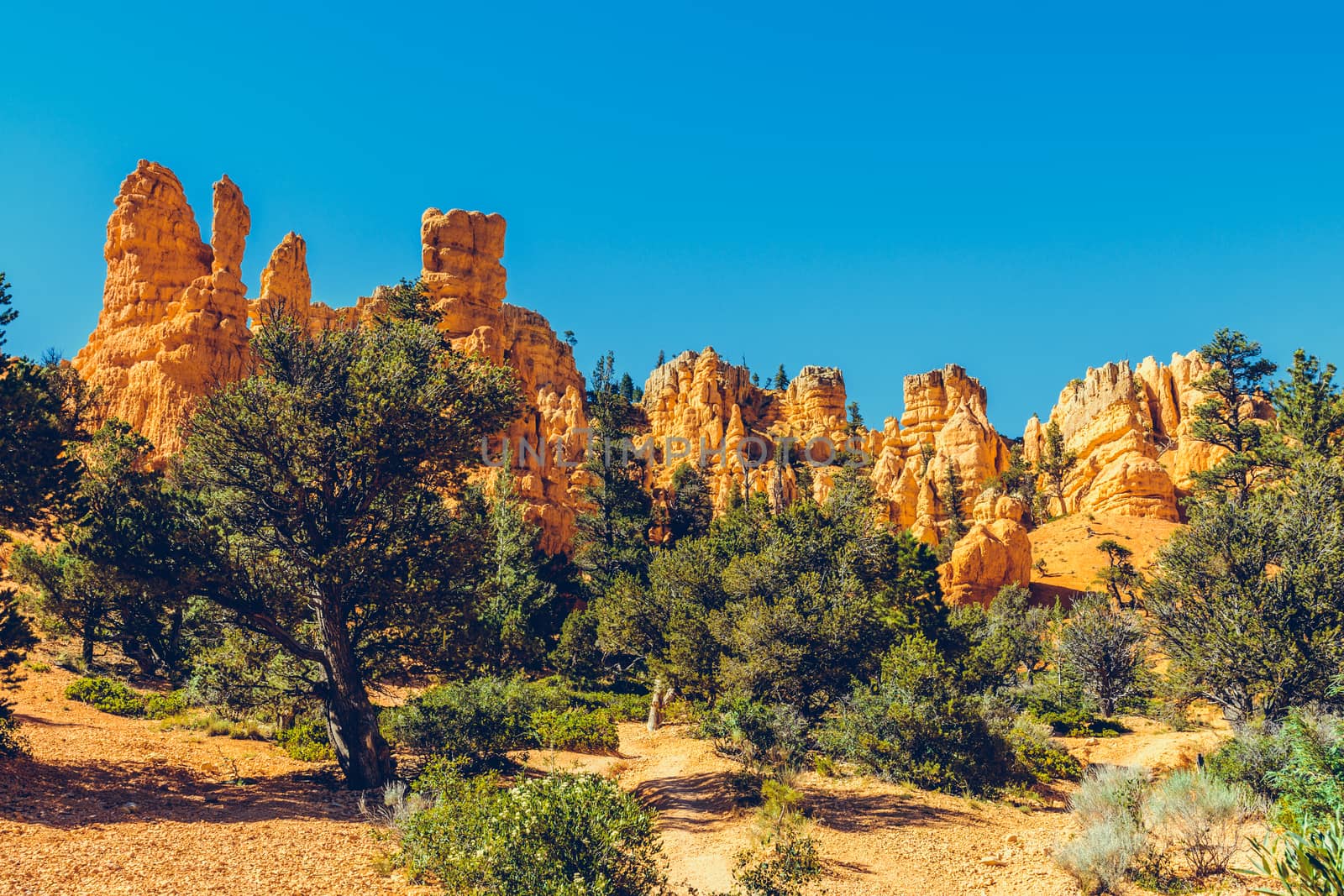 Bryce Canyon National Park, Utah, USA