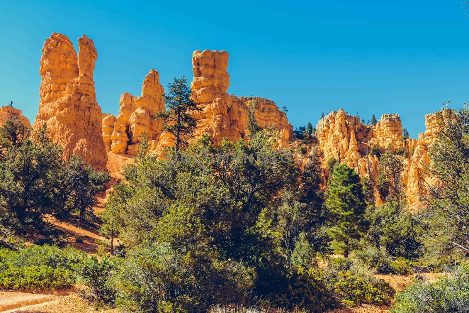 Bryce Canyon National Park, Utah, USA by nicousnake