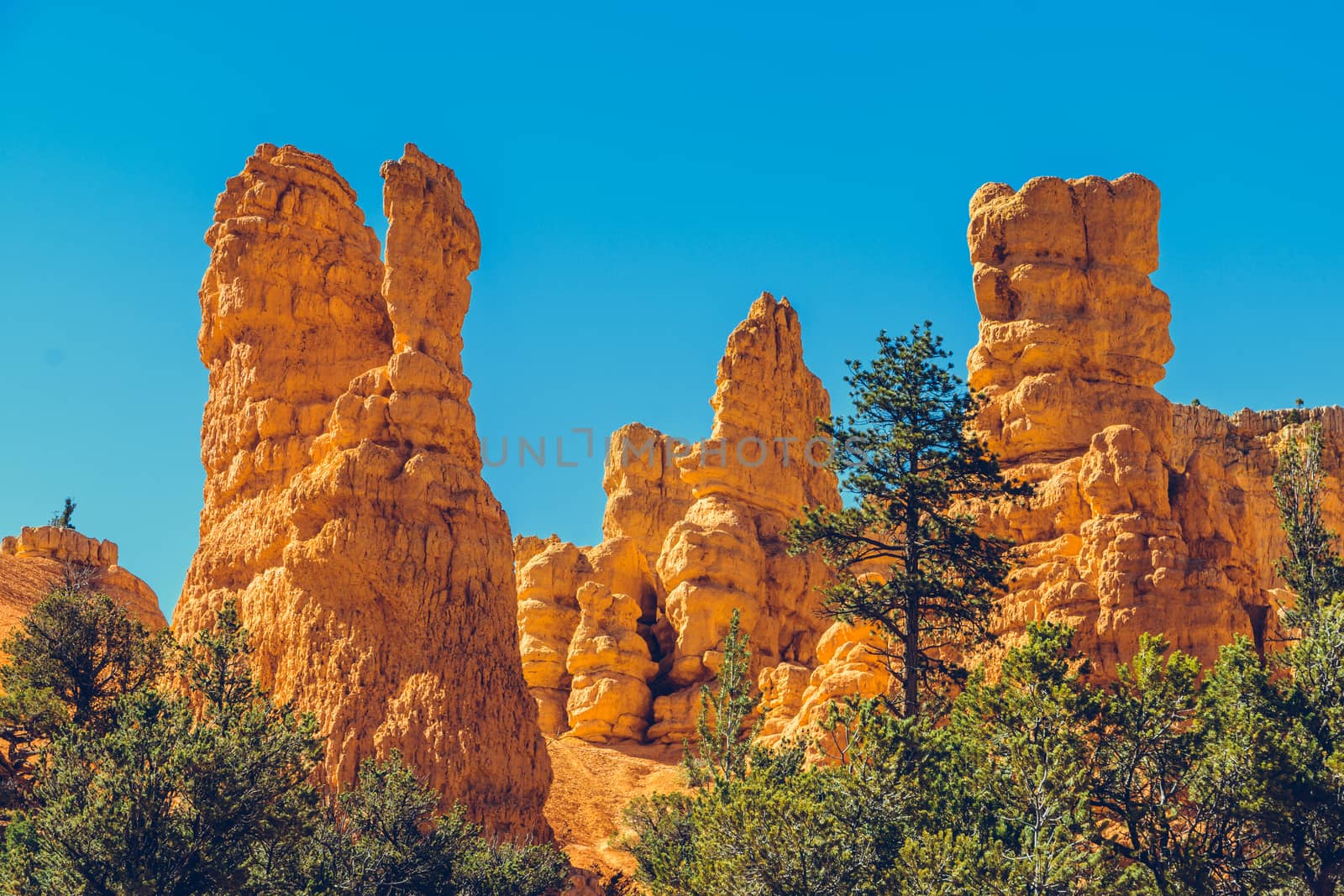 Bryce Canyon National Park, Utah, USA by nicousnake