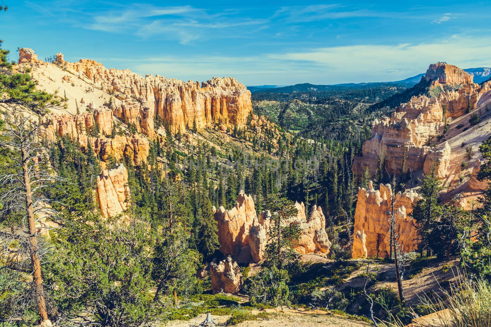 Bryce Canyon National Park, Utah, USA by nicousnake