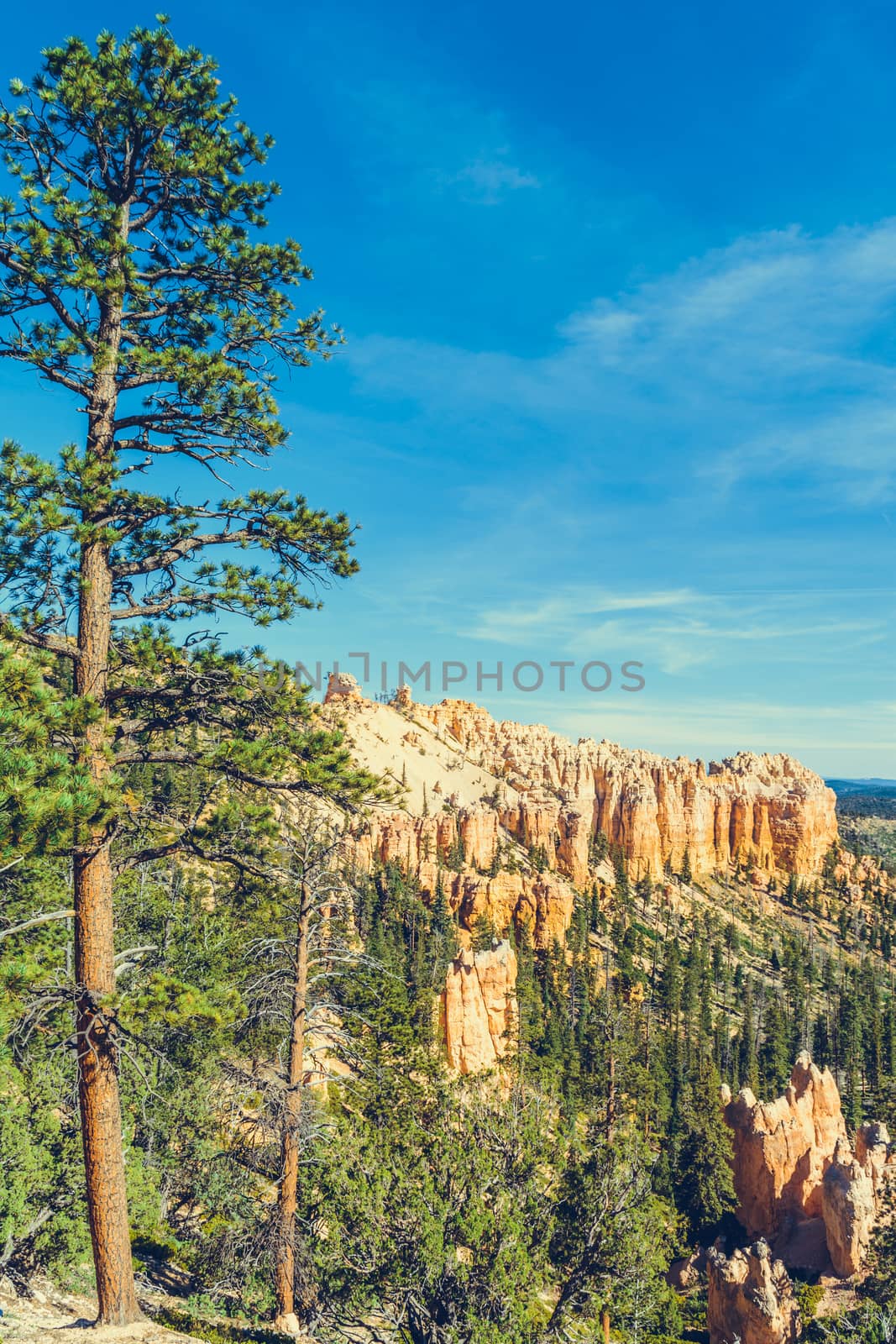 Bryce Canyon National Park, Utah, USA by nicousnake