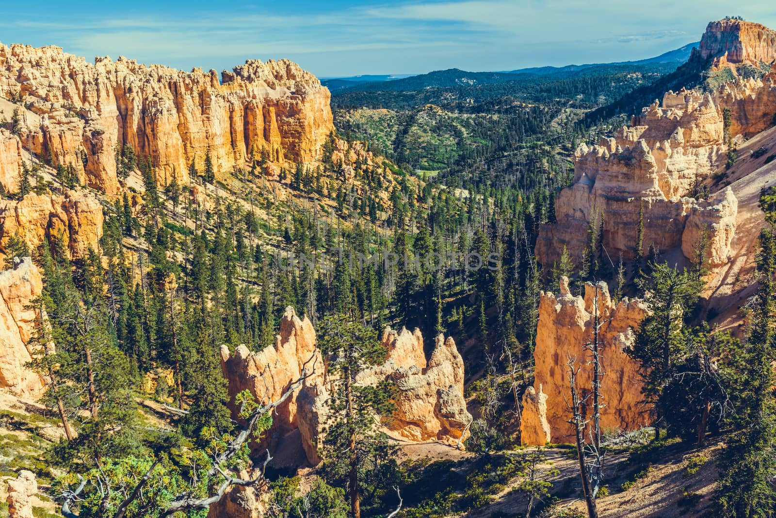 Bryce Canyon National Park, Utah, USA