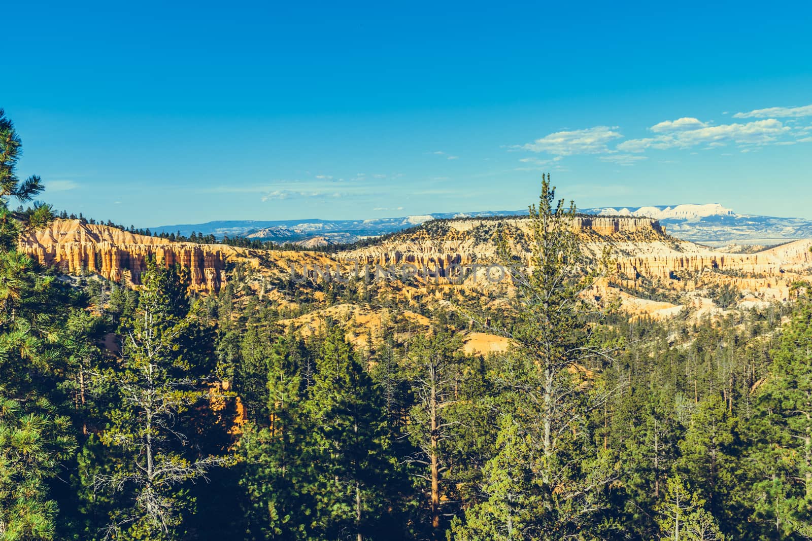 Bryce Canyon National Park, Utah, USA