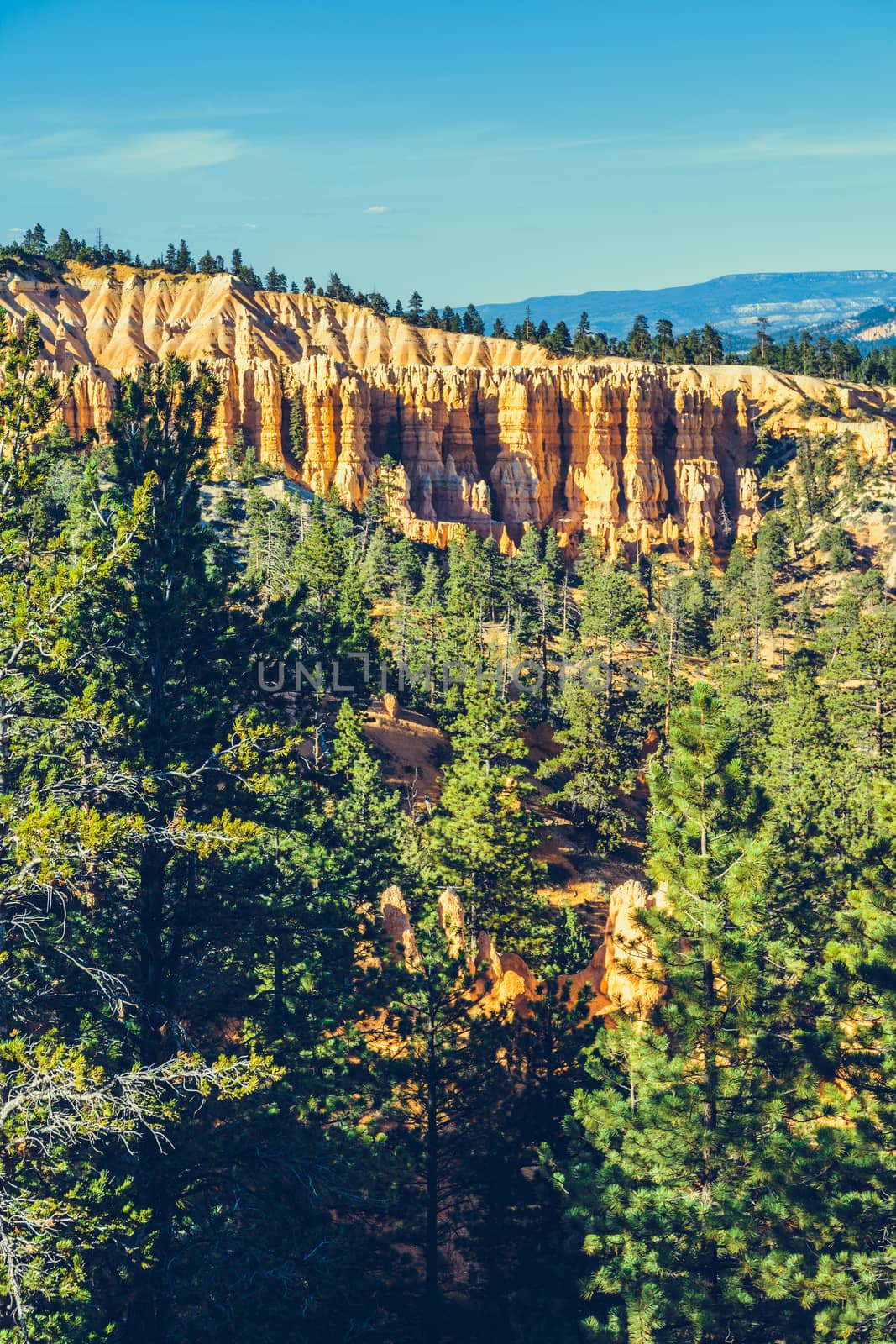 Bryce Canyon National Park, Utah, USA