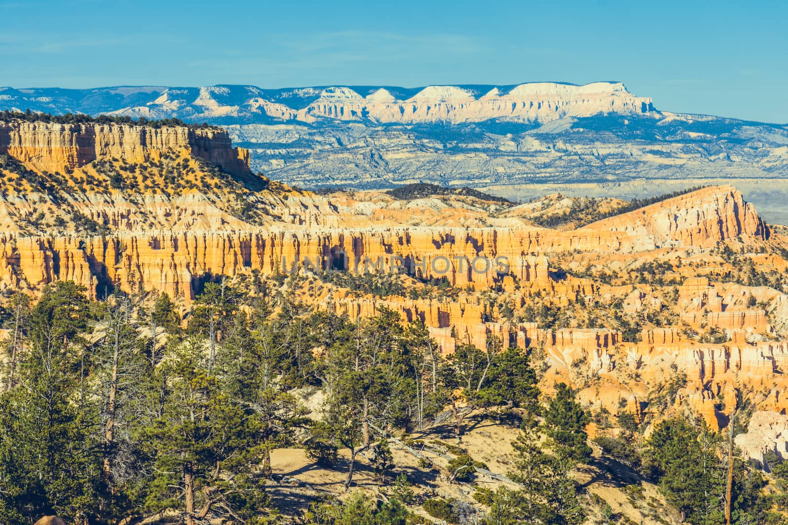 Bryce Canyon National Park, Utah, USA by nicousnake