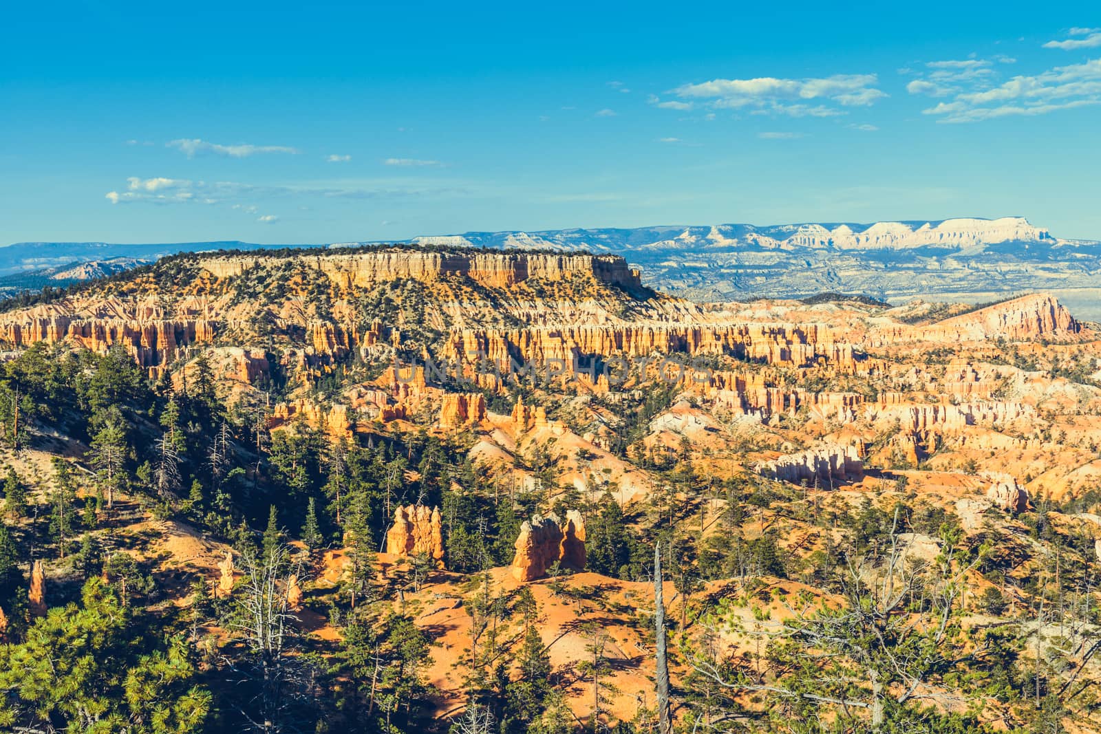 Bryce Canyon National Park, Utah, USA by nicousnake