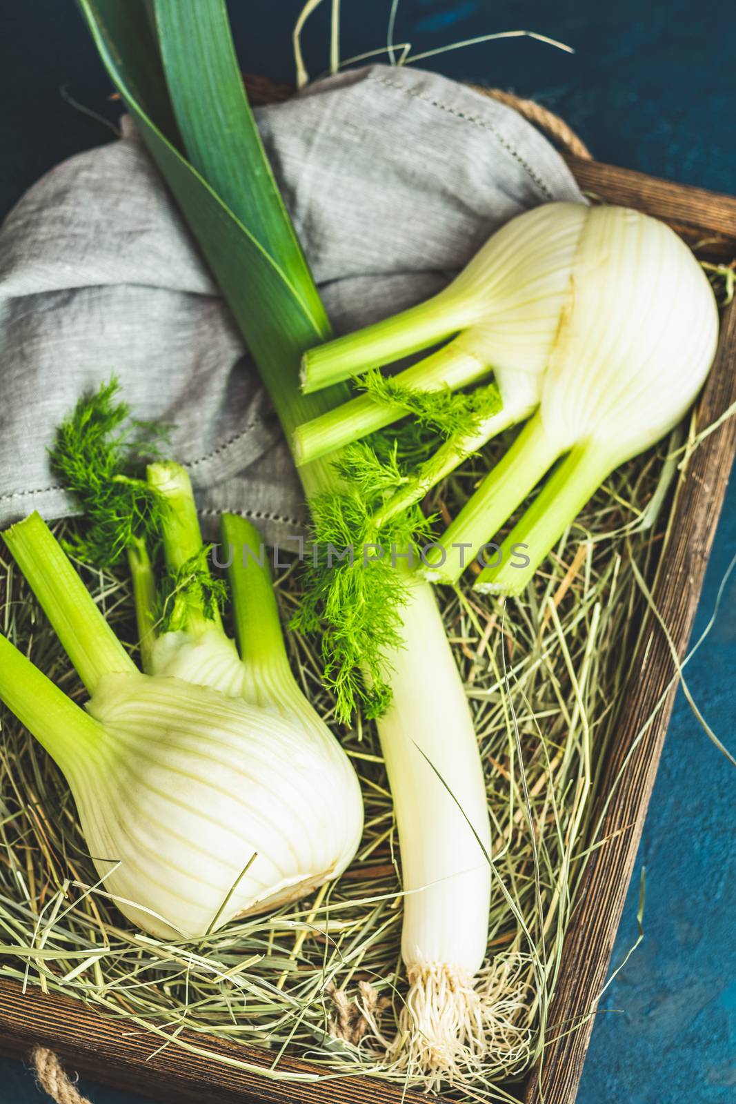 Fresh Florence fennel bulbs or Fennel bulb, leek and parsley in wooden box with dried grass on dark blue concrete background. Healthy and benefits of Florence fennel bulbs.