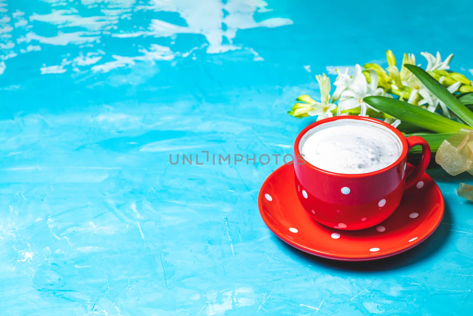 Red in white dotted cup of coffee with milk and white hyacinths on blue concrete surface background, copy space. Beautiful spring greeting card.