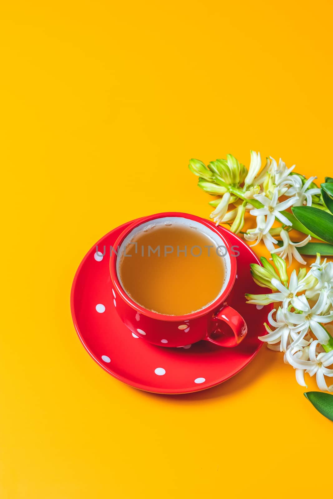 Red in white dotted cup of tea beside white hyacinths on yellow surface background. Minimalism, top view, copy space for you text.