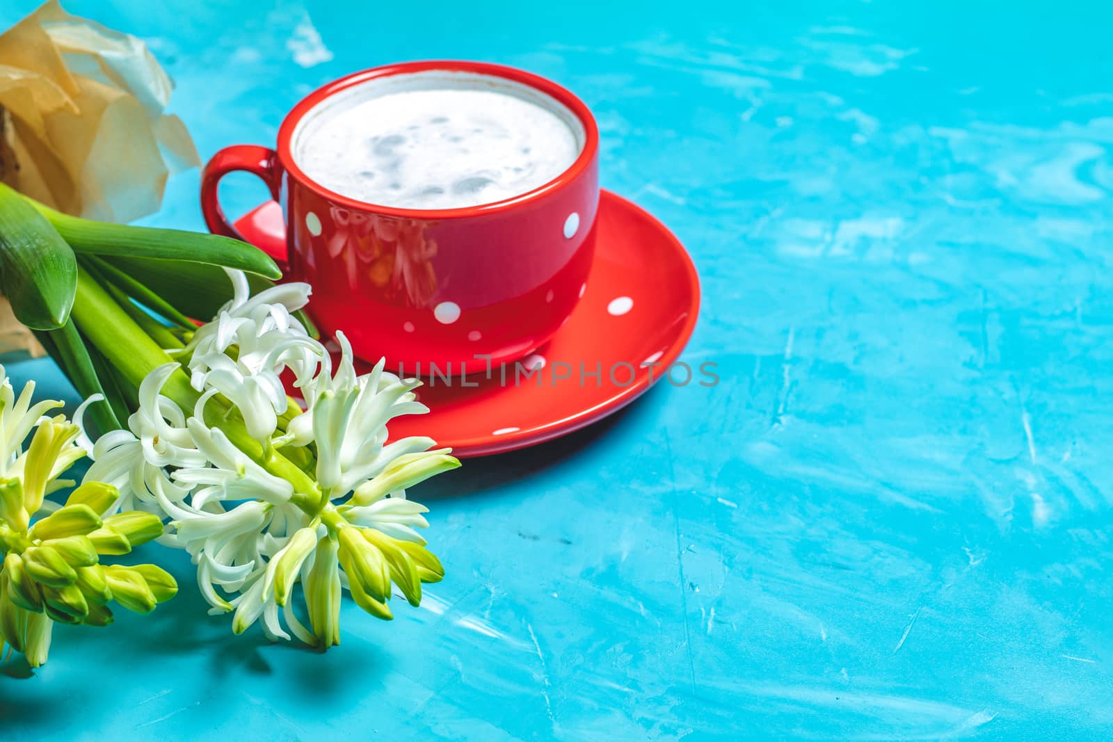 Red in white dotted cup of coffee with milk and white hyacinths on blue concrete surface background, copy space. Beautiful spring greeting card.