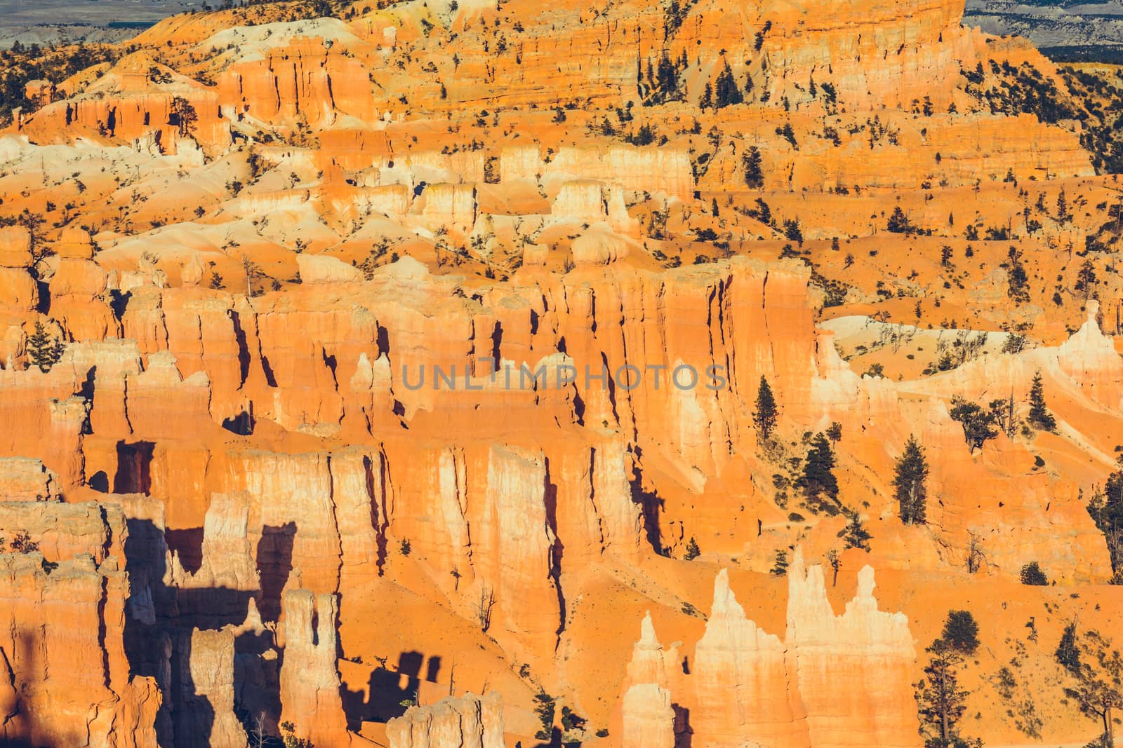 Bryce Canyon National Park, Utah, USA by nicousnake