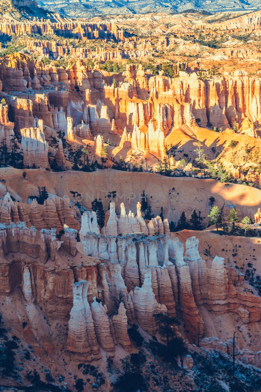 Bryce Canyon National Park, Utah, USA by nicousnake