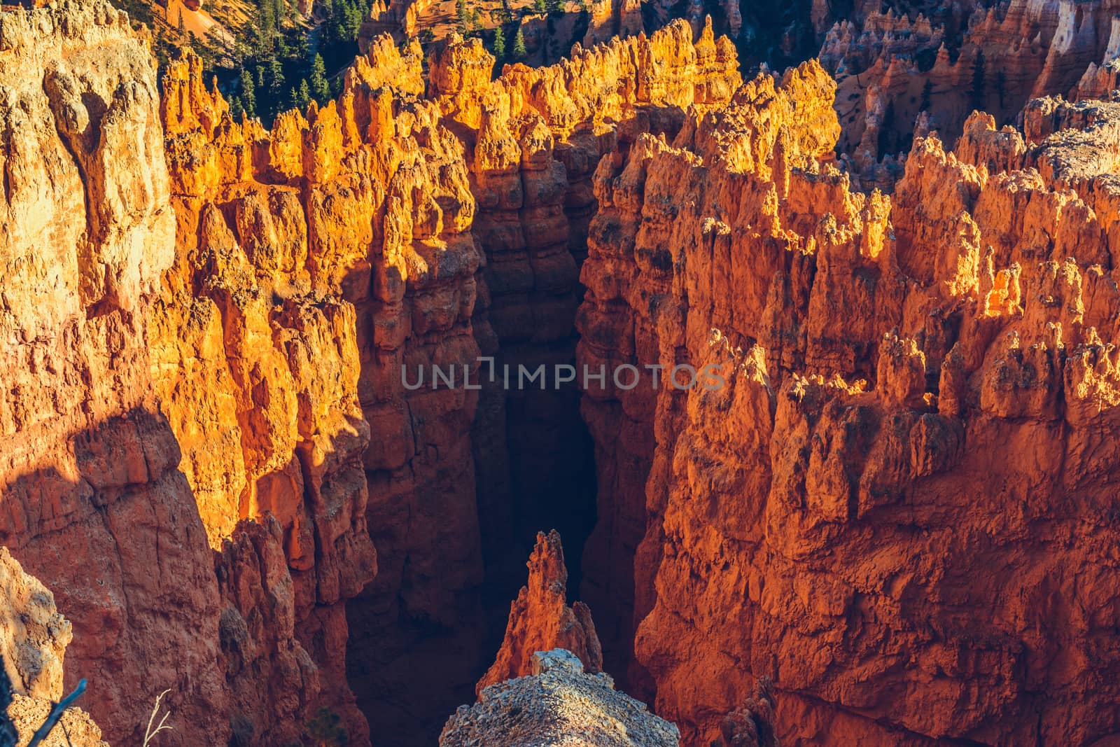 Bryce Canyon National Park, Utah, USA by nicousnake