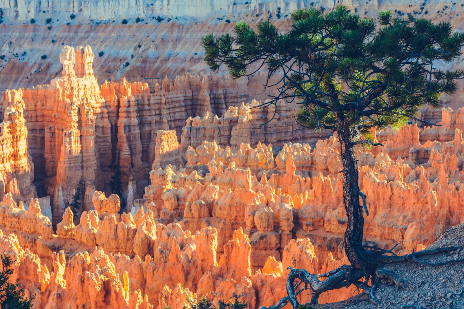 Bryce Canyon National Park, Utah, USA by nicousnake