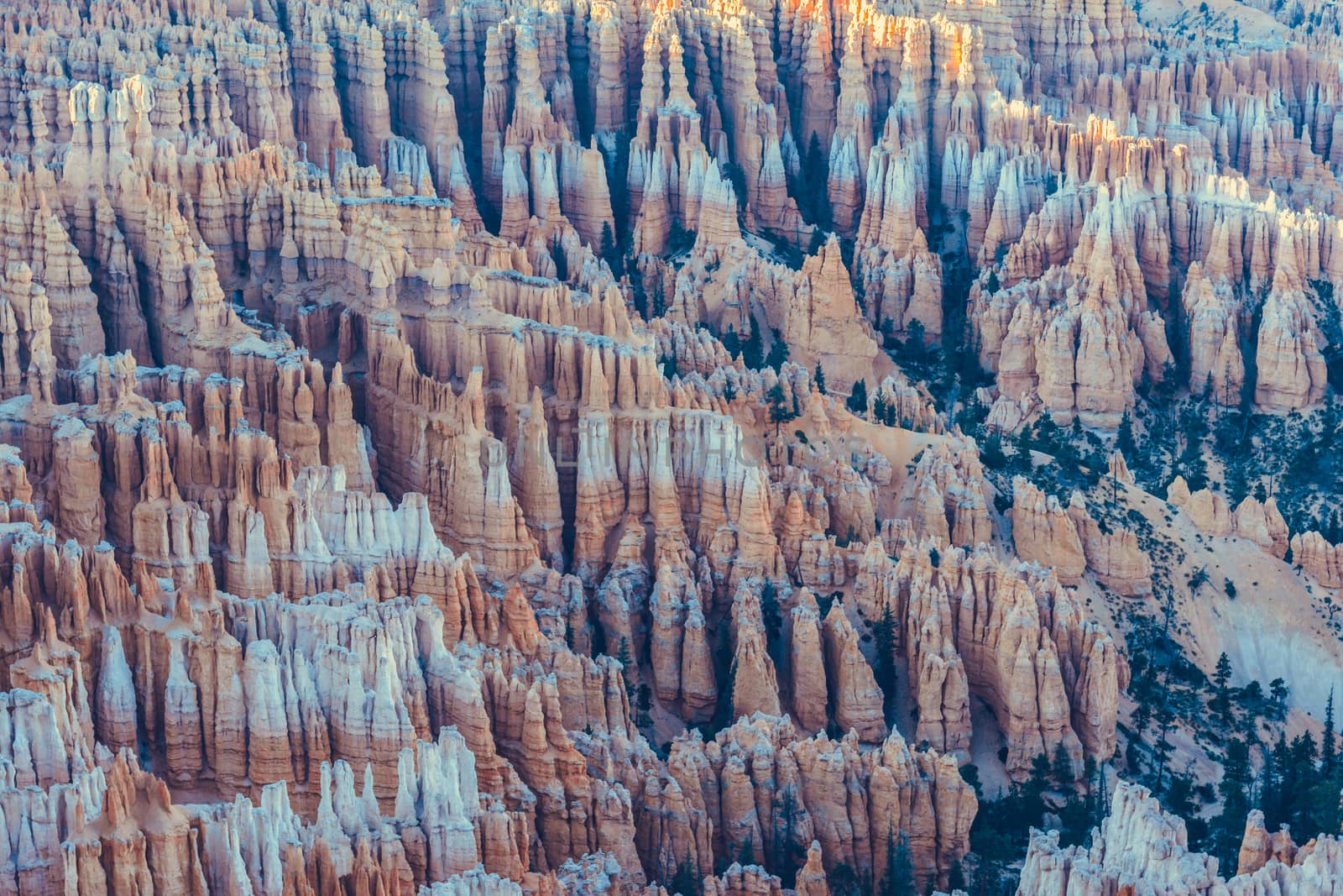 Bryce Canyon National Park, Utah, USA by nicousnake