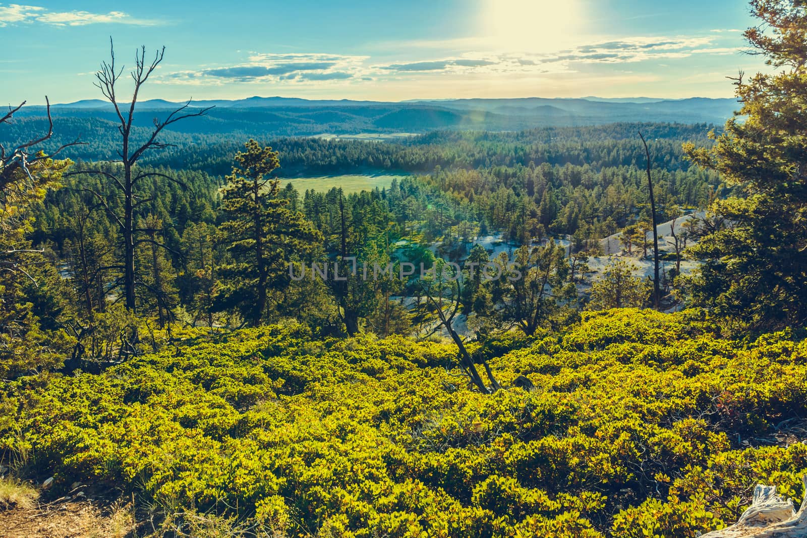 Bryce Canyon National Park, Utah, USA by nicousnake