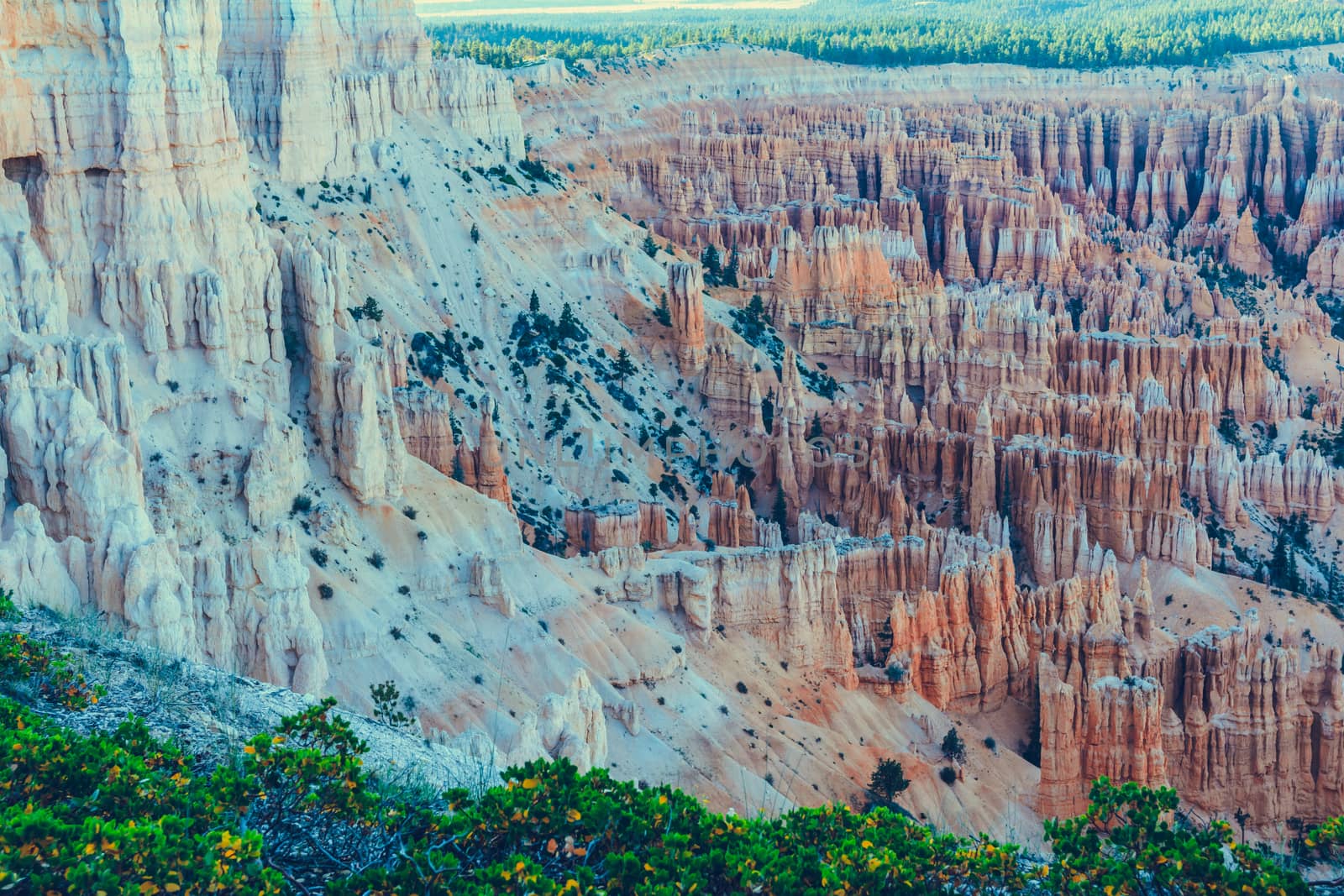 Bryce Canyon National Park, Utah, USA by nicousnake