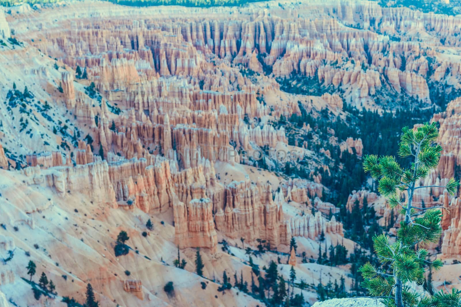 Bryce Canyon National Park, Utah, USA by nicousnake