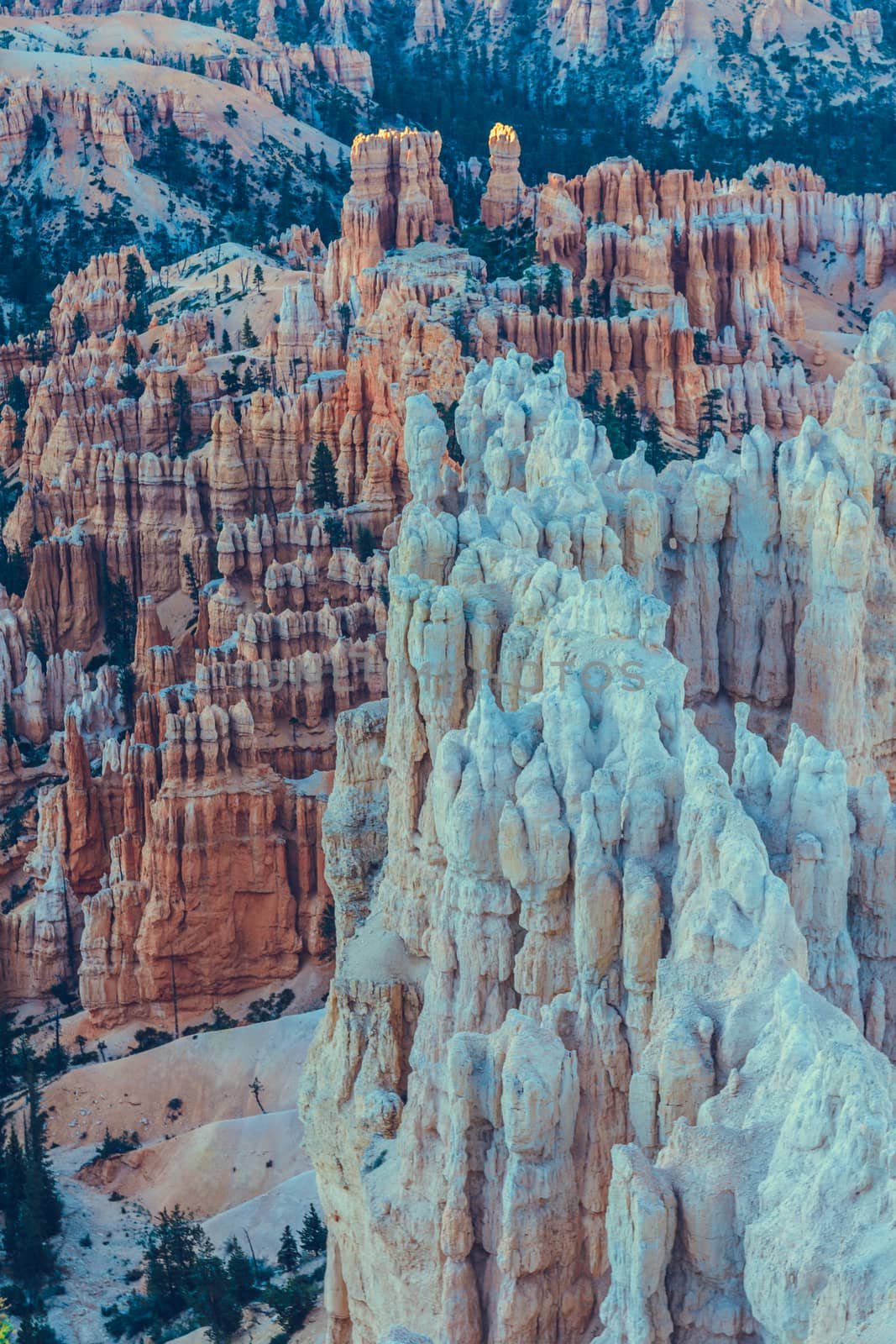 Bryce Canyon National Park, Utah, USA