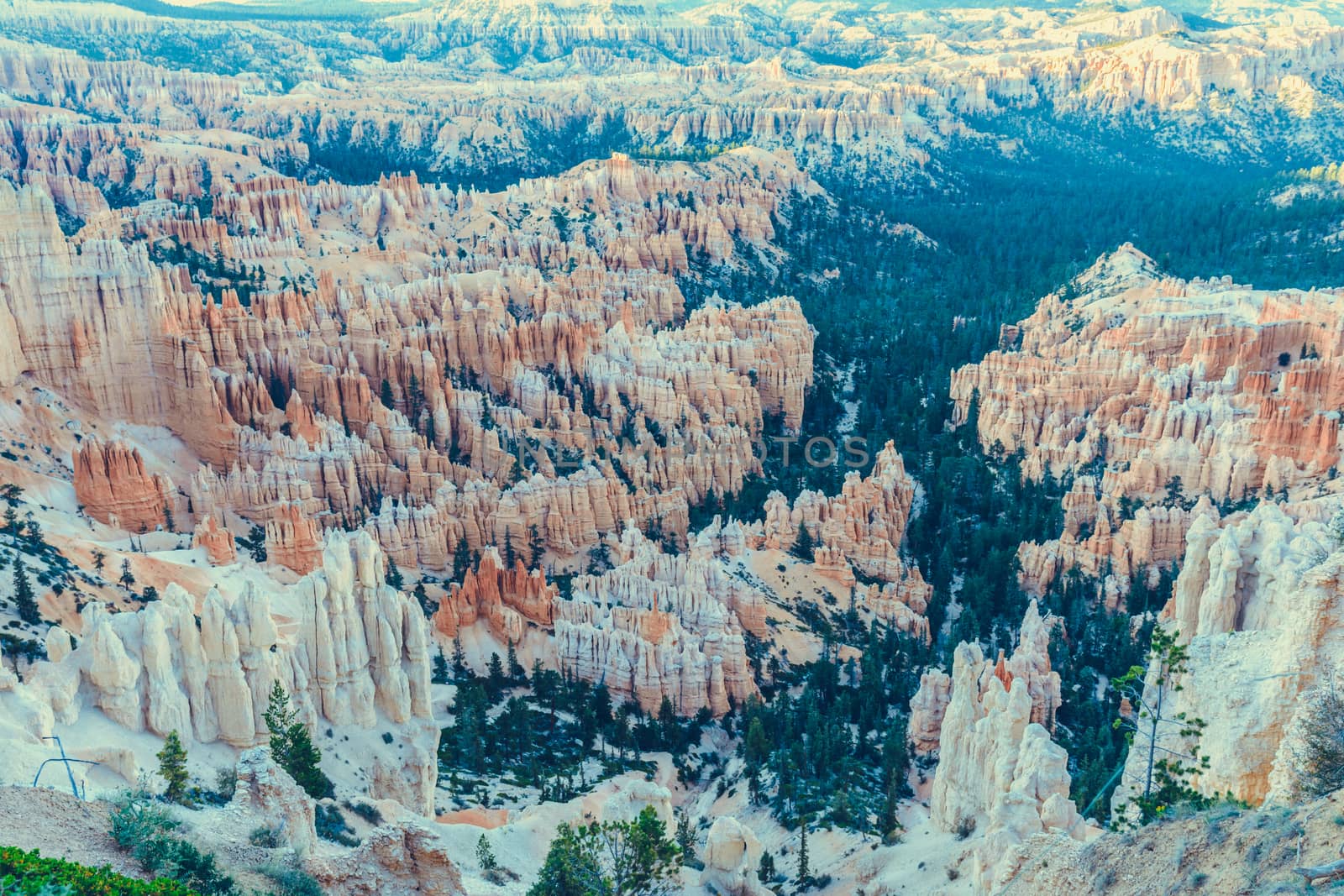 Bryce Canyon National Park, Utah, USA