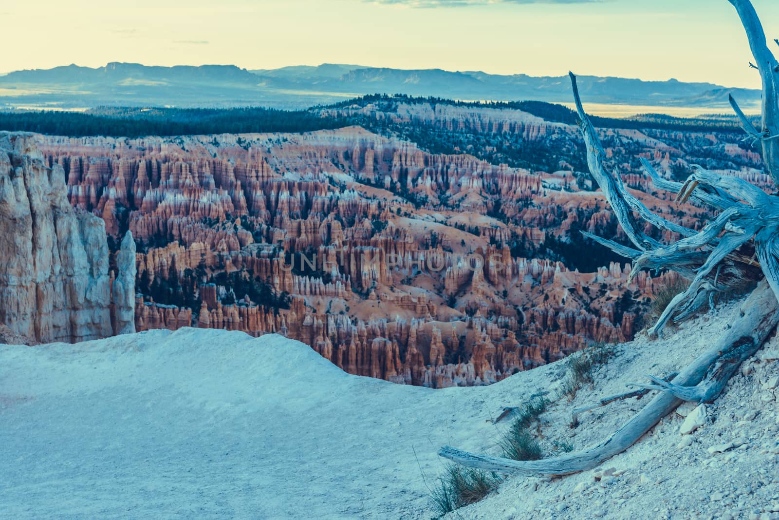 Bryce Canyon National Park, Utah, USA by nicousnake